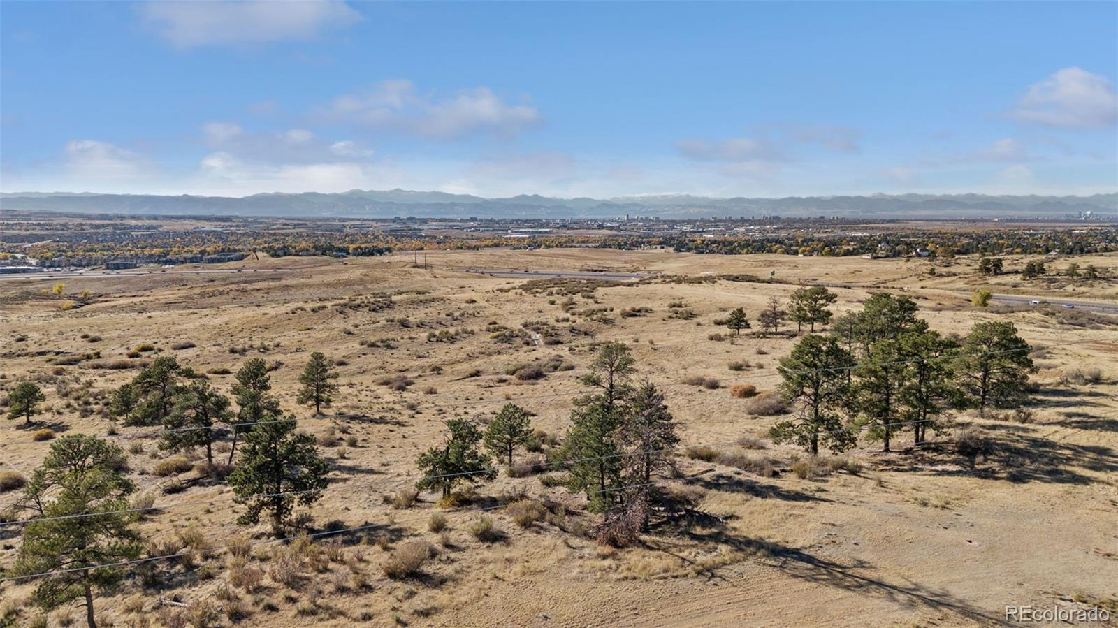 Open land with scattered pine trees, distant city skyline, and mountain views.