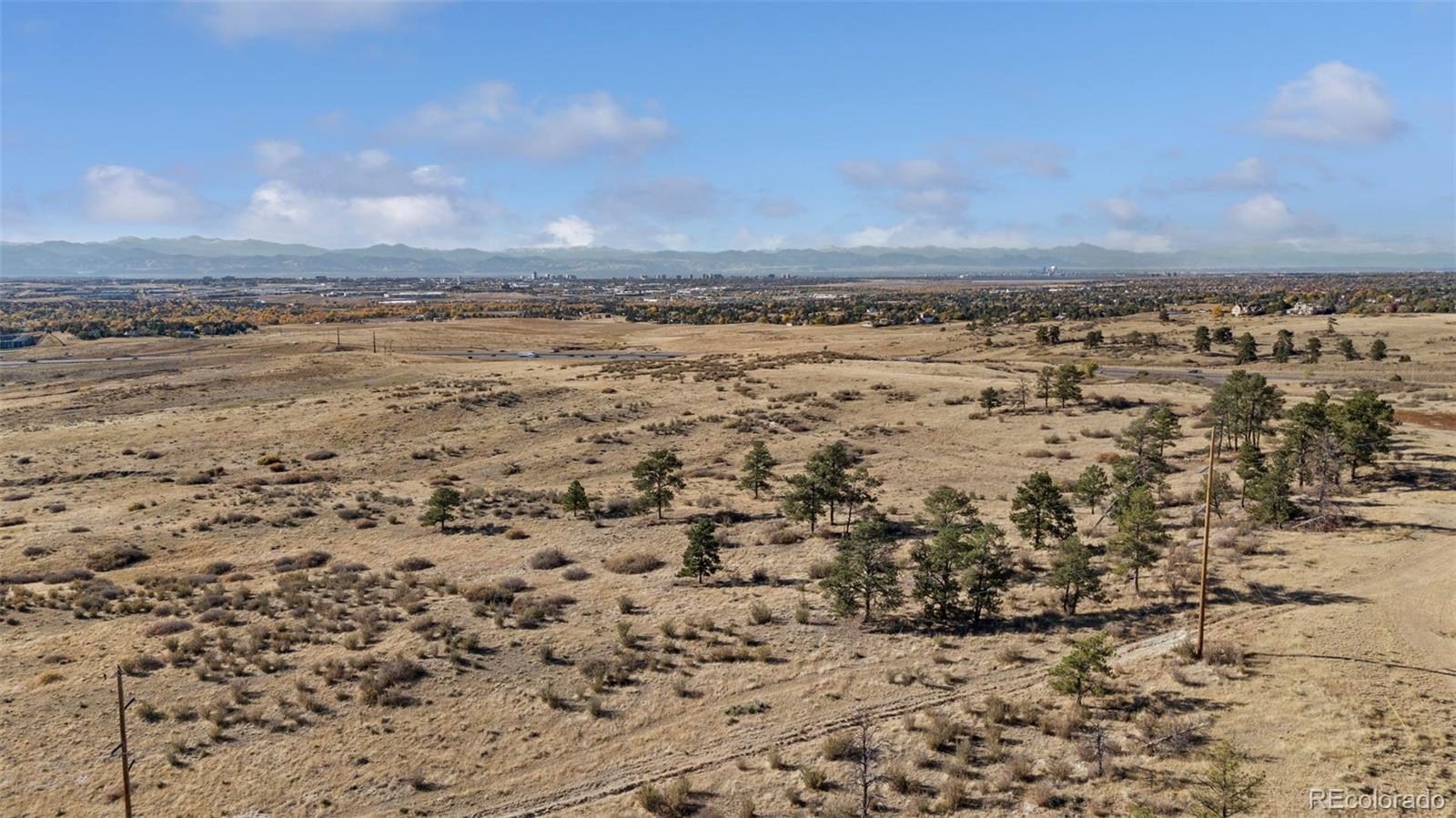 Open dry land with scattered pines, a distant city, and mountains.