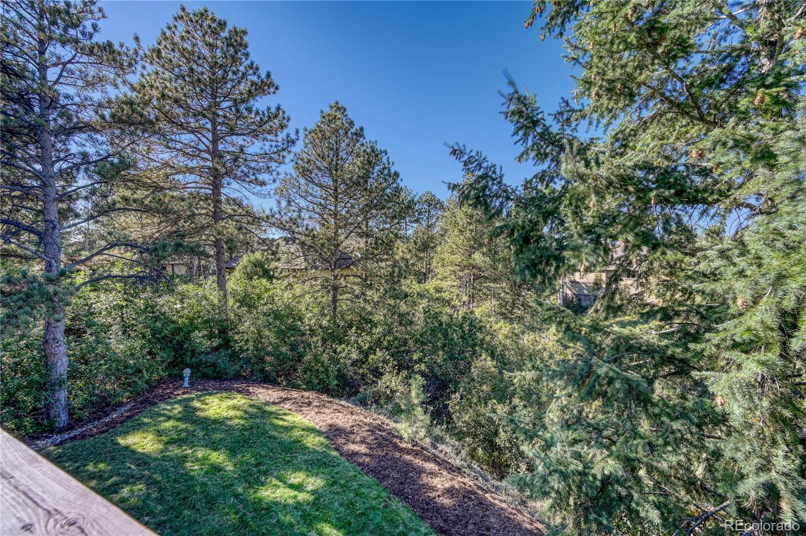 2596 Saddleback Drive