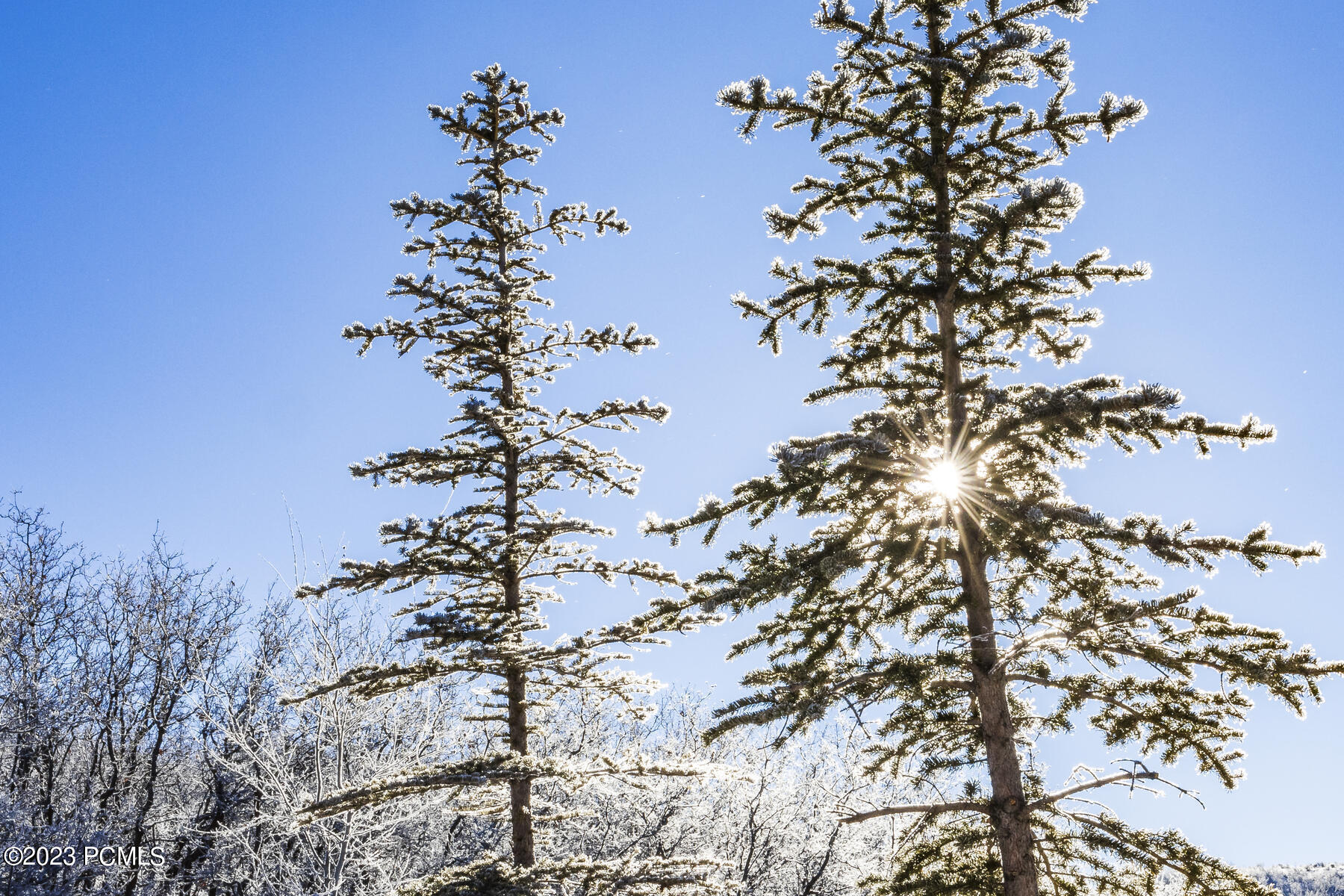 14170 N Panorama Pkwy