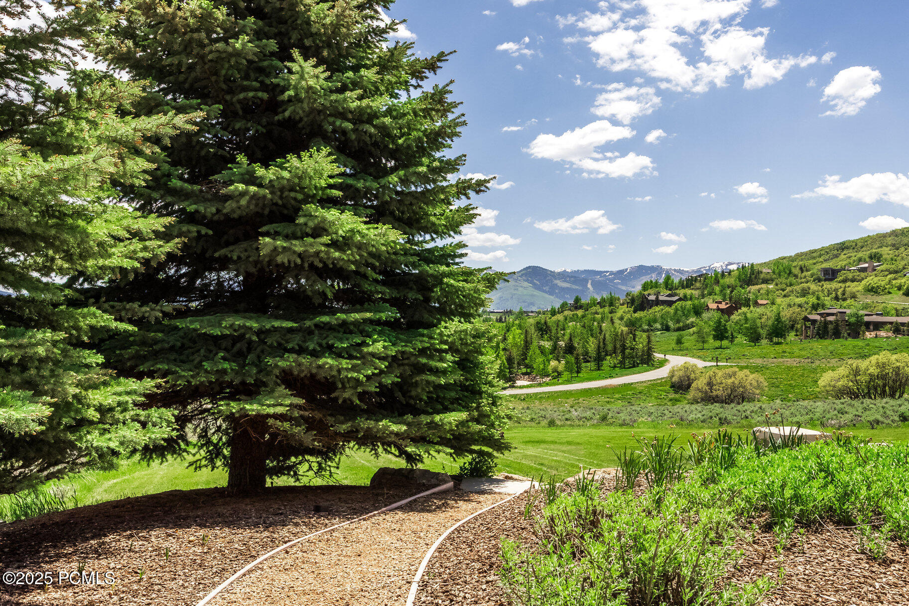 8066 N Red Fox Court