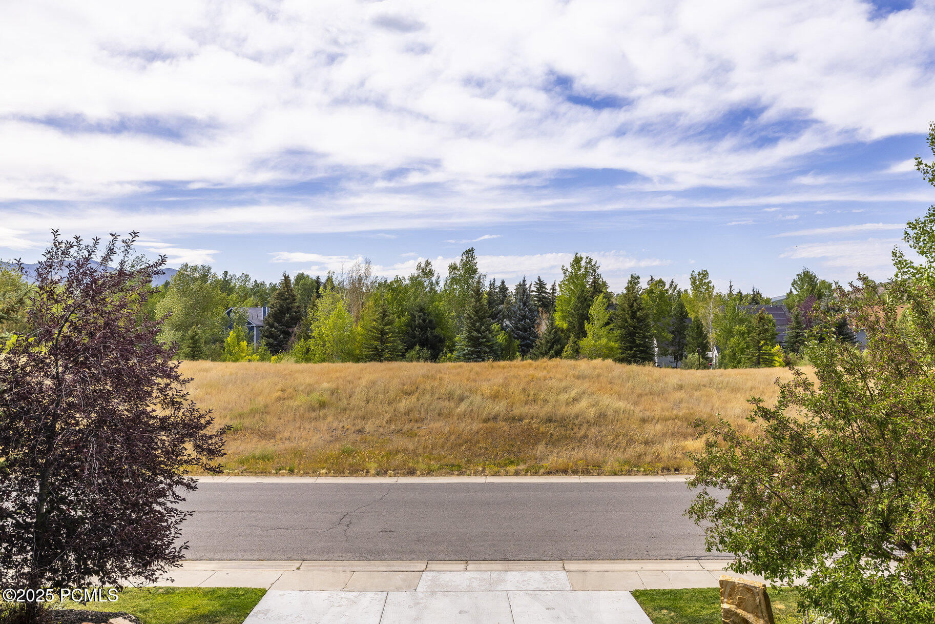 2054 Paddington Drive