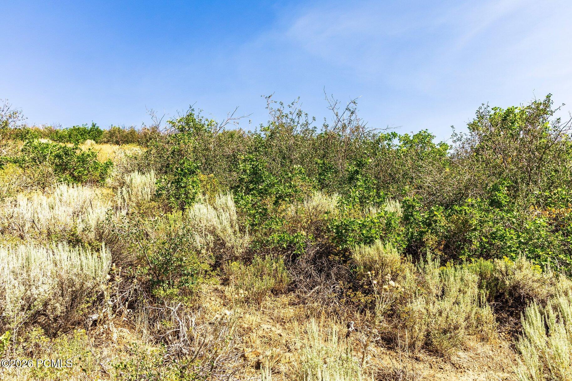 13610 N Deer Canyon Drive 21