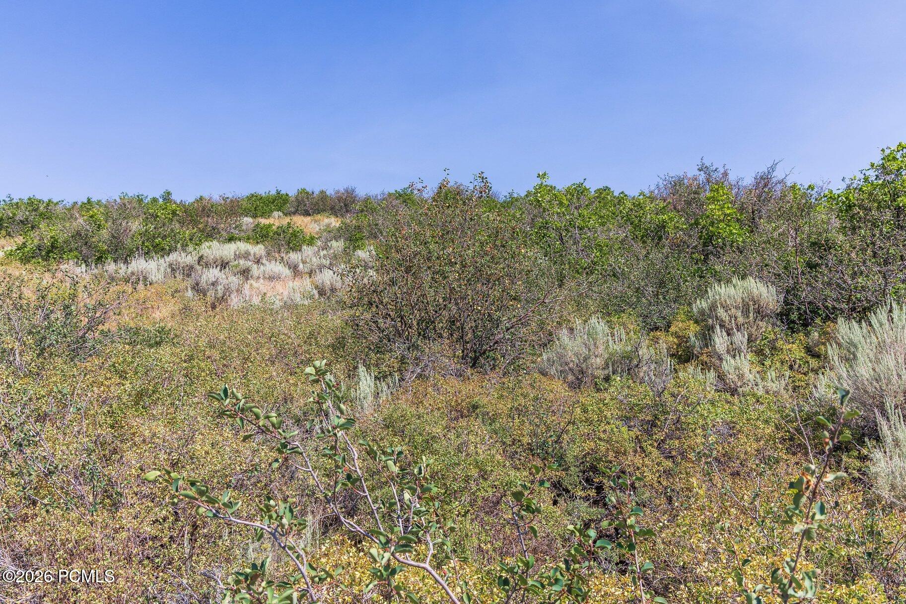 13610 N Deer Canyon Drive 21