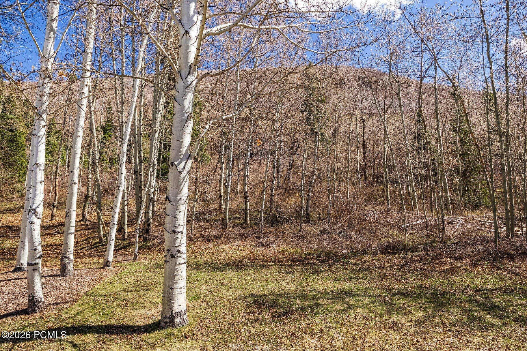 2358 Good Trump Court