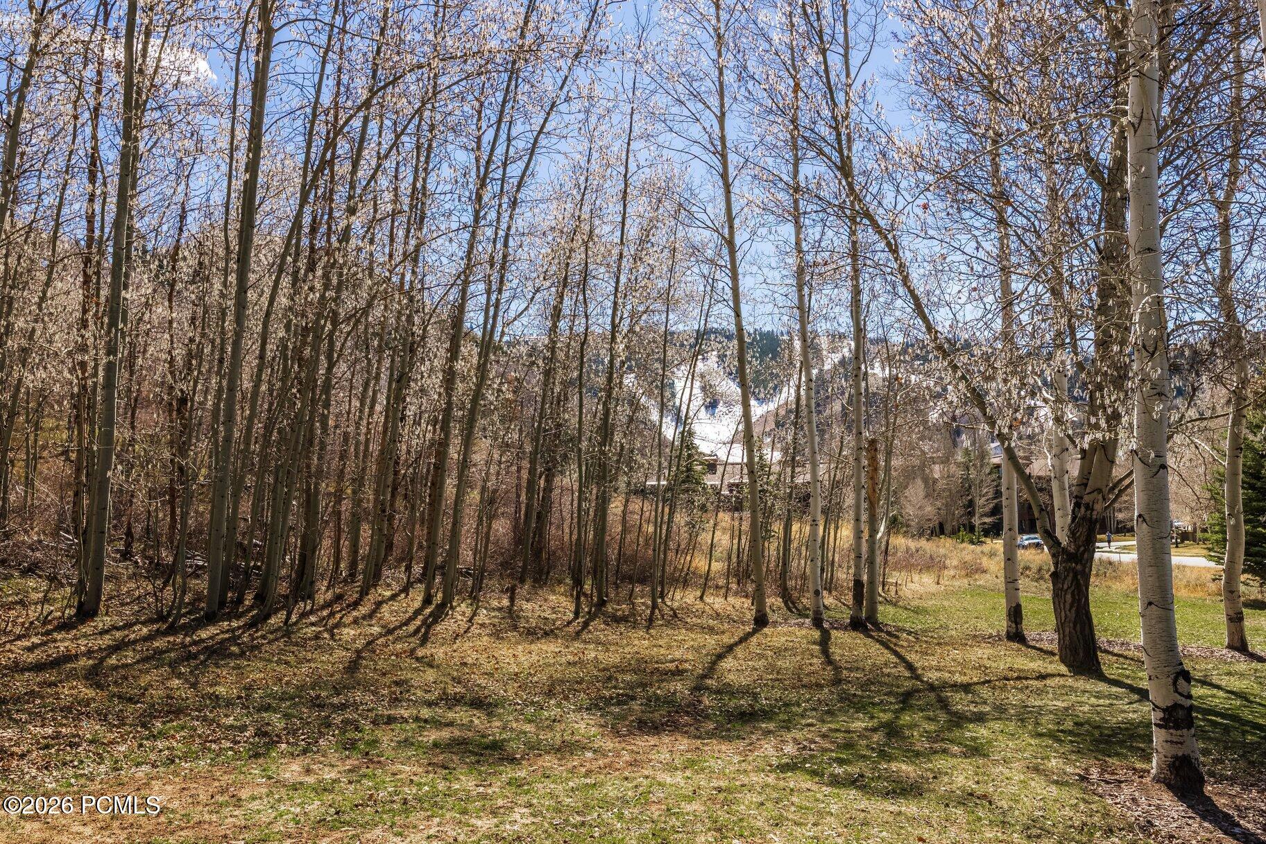 2358 Good Trump Court