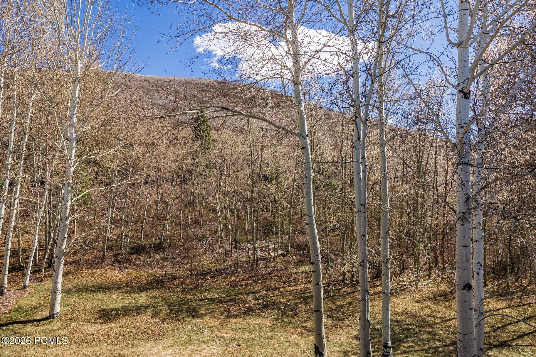 2358 Good Trump Court