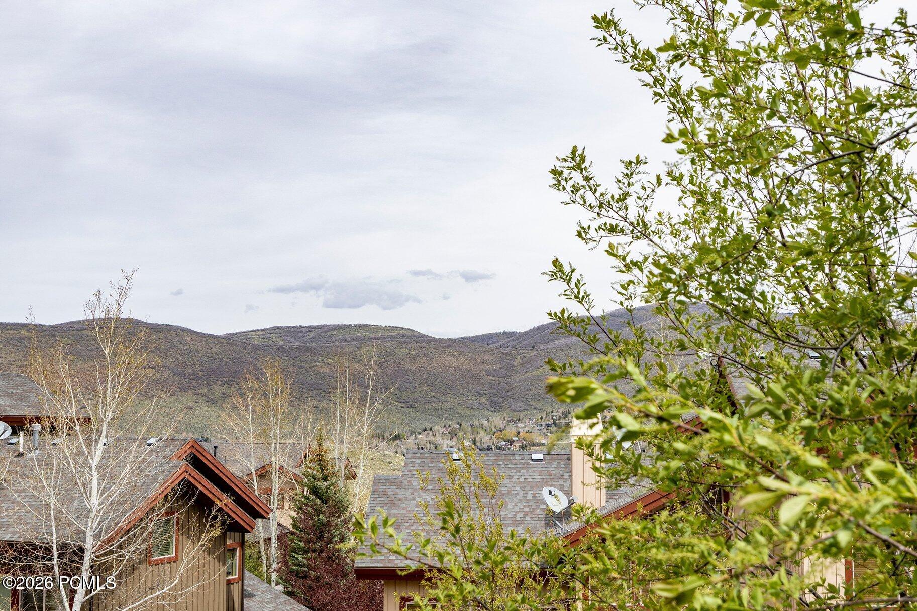 3433 Cedar Drive