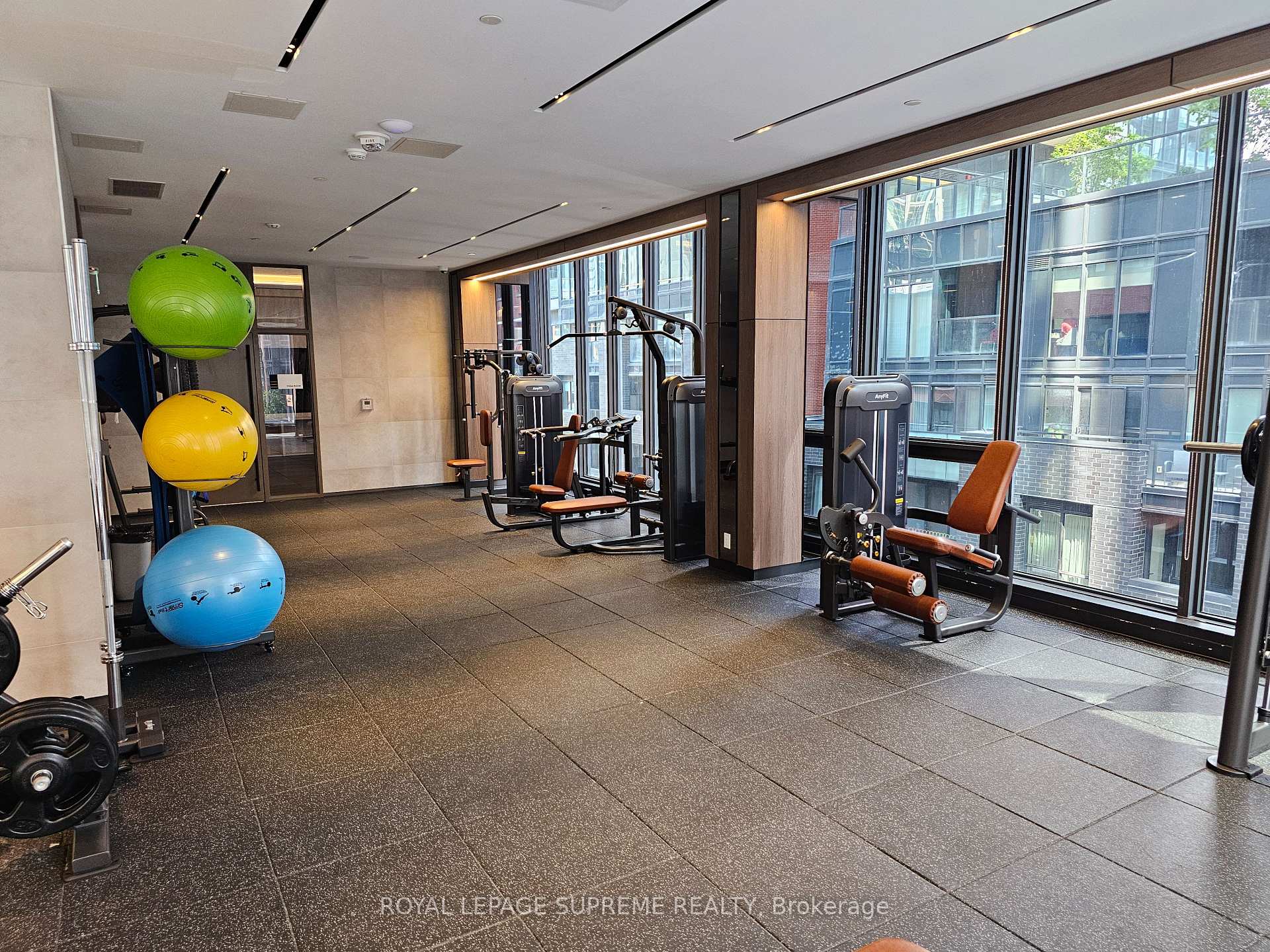 55 Mercer Street 5003