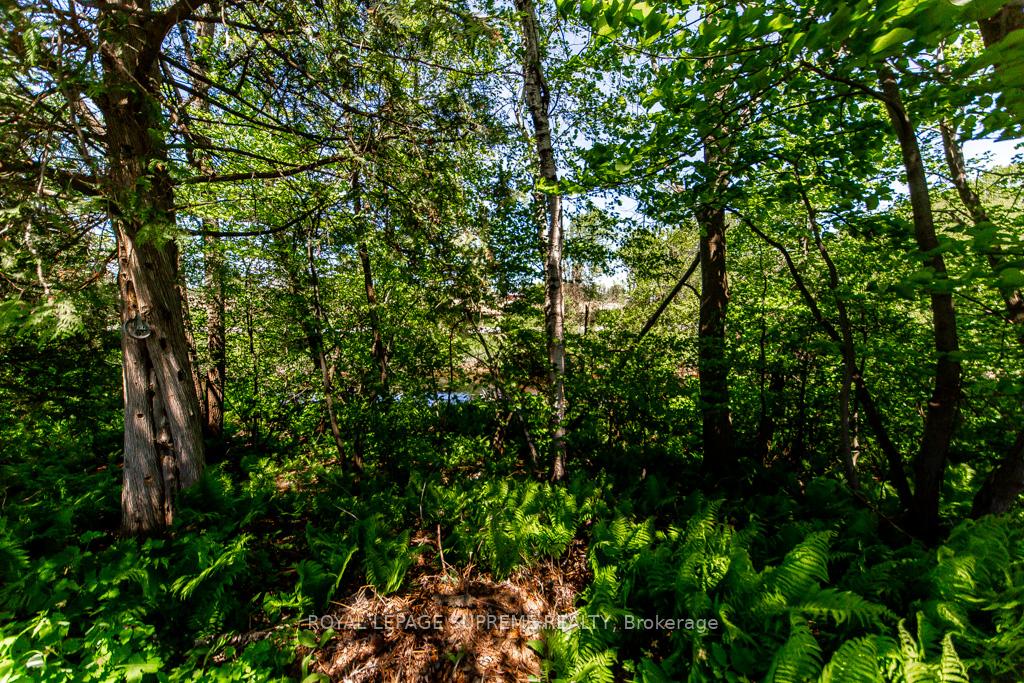 285 Crydermans Side Road 408