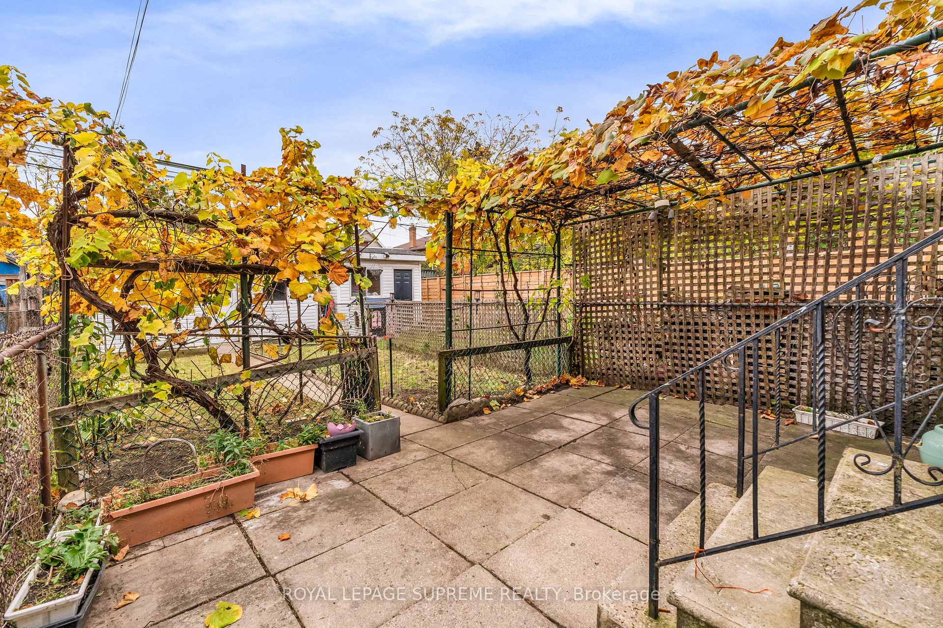 579A Delaware Avenue