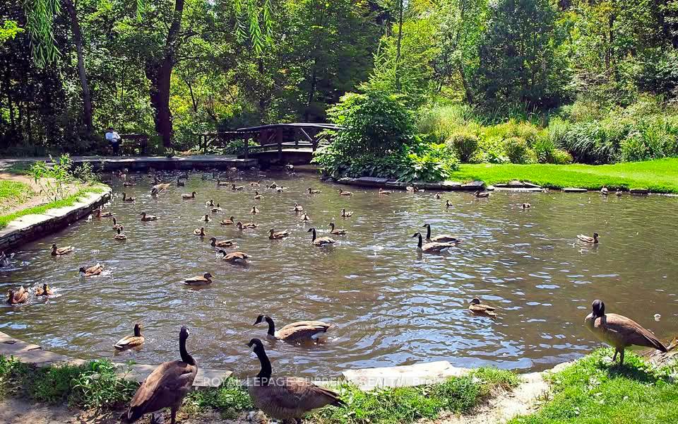 270 Scarlett Road 804