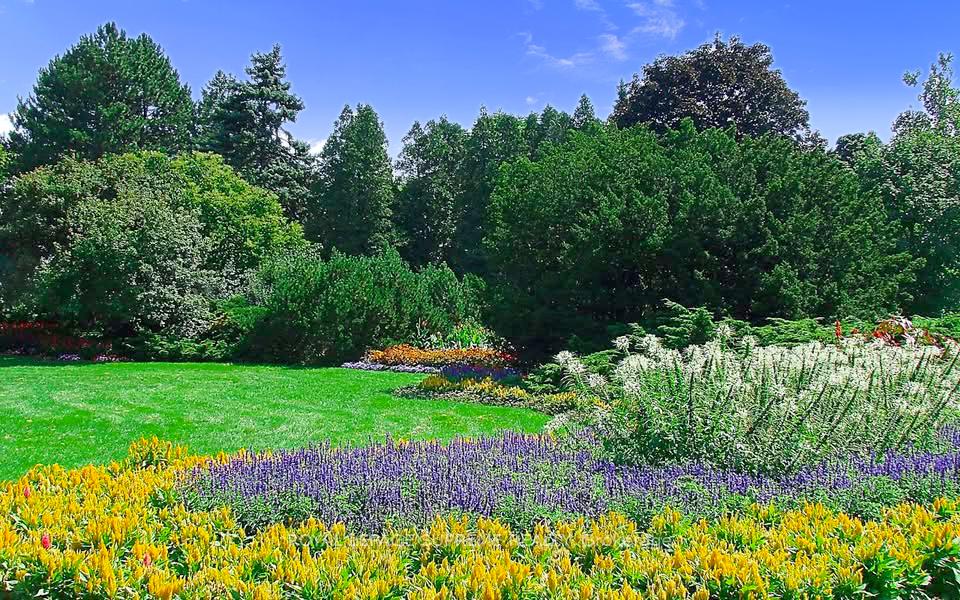 270 Scarlett Road 804