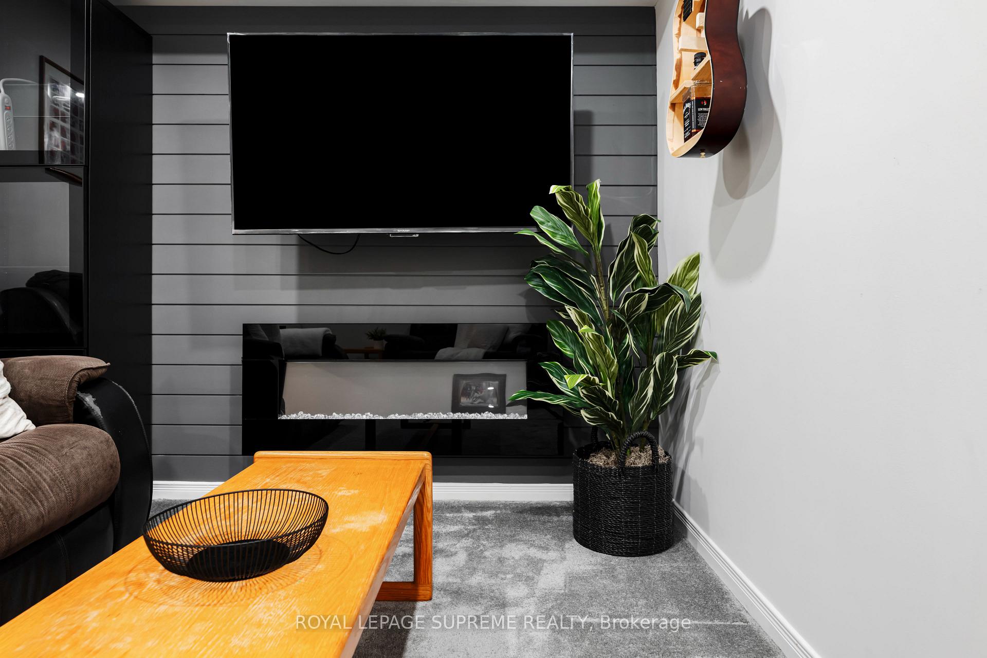 Living room with a wall-mounted television, modern fireplace, gray paneling, and potted plant.