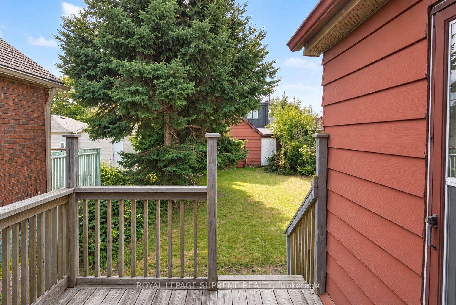 Wooden deck overlooks a grassy backyard shaded by a large evergreen tree.