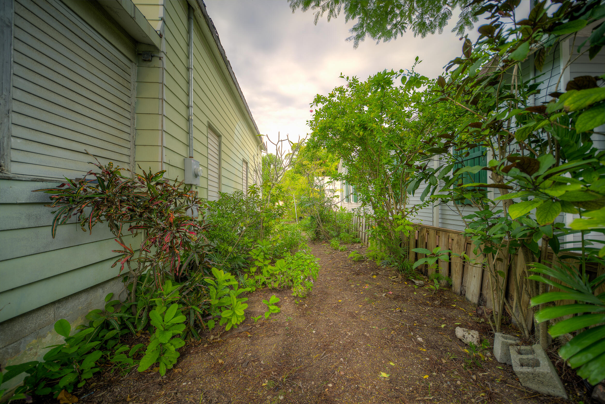 1315 Newton Street