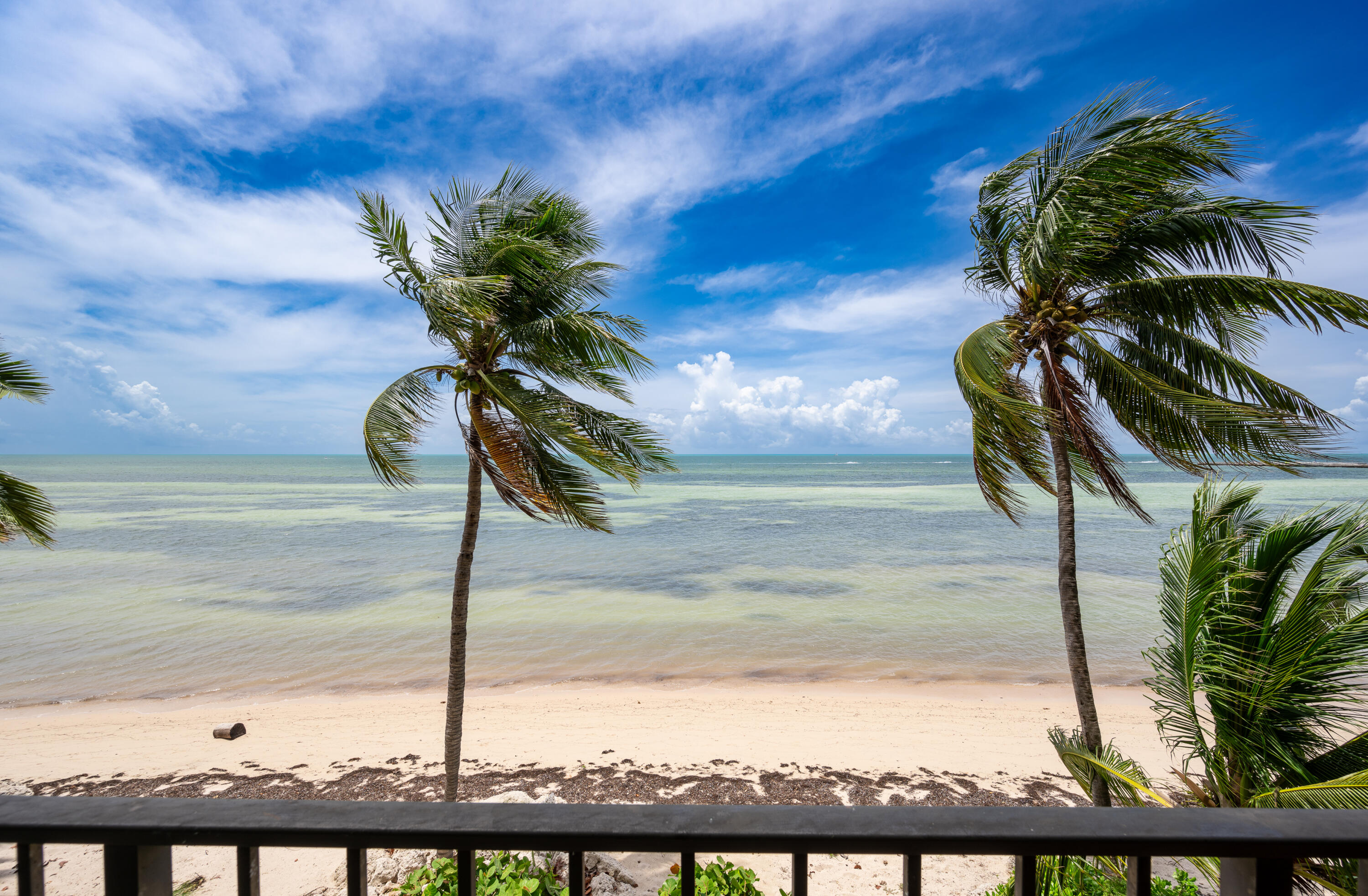 1500 Atlantic Boulevard Unit: 213