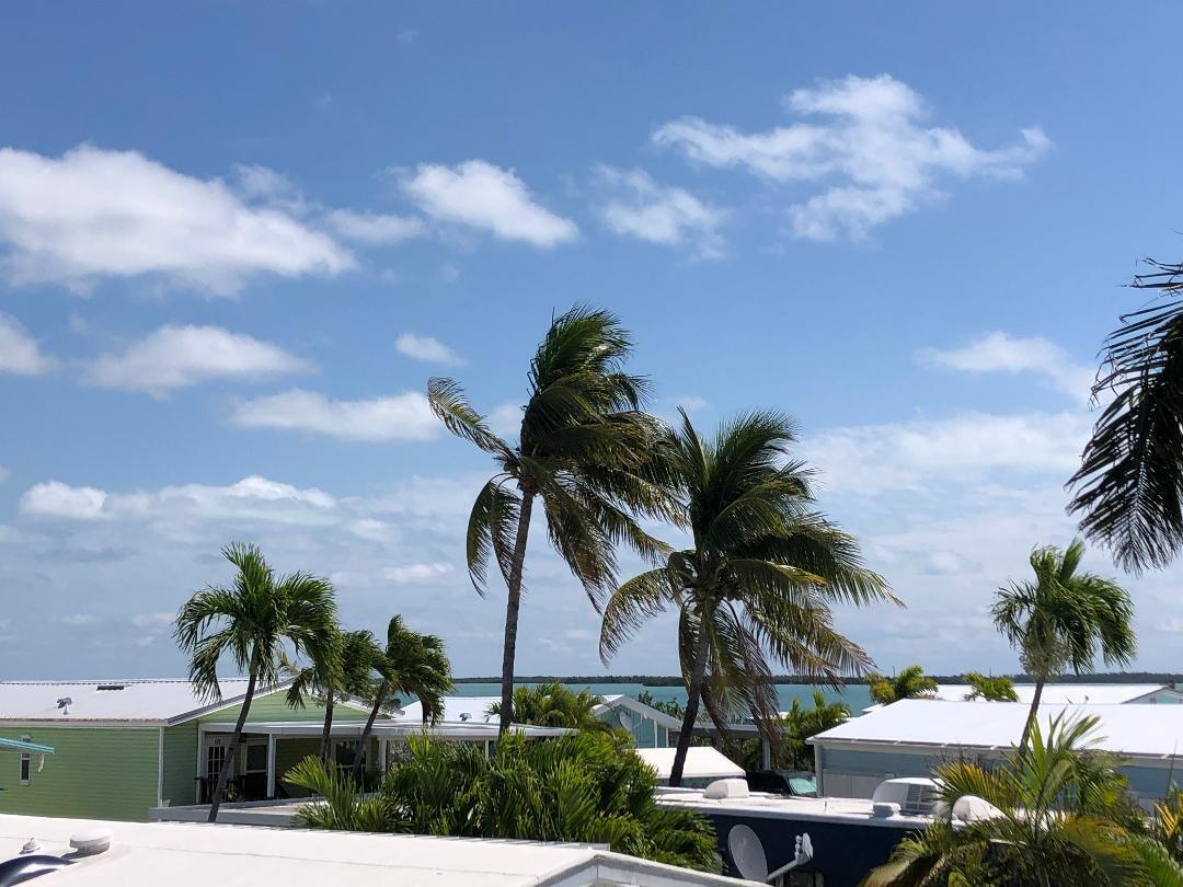 55 Boca Chica Road Unit: 444