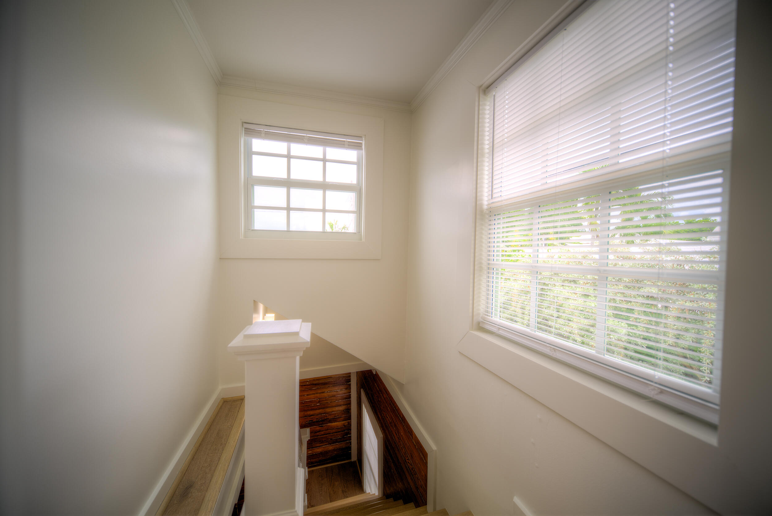 1114 Olivia Street