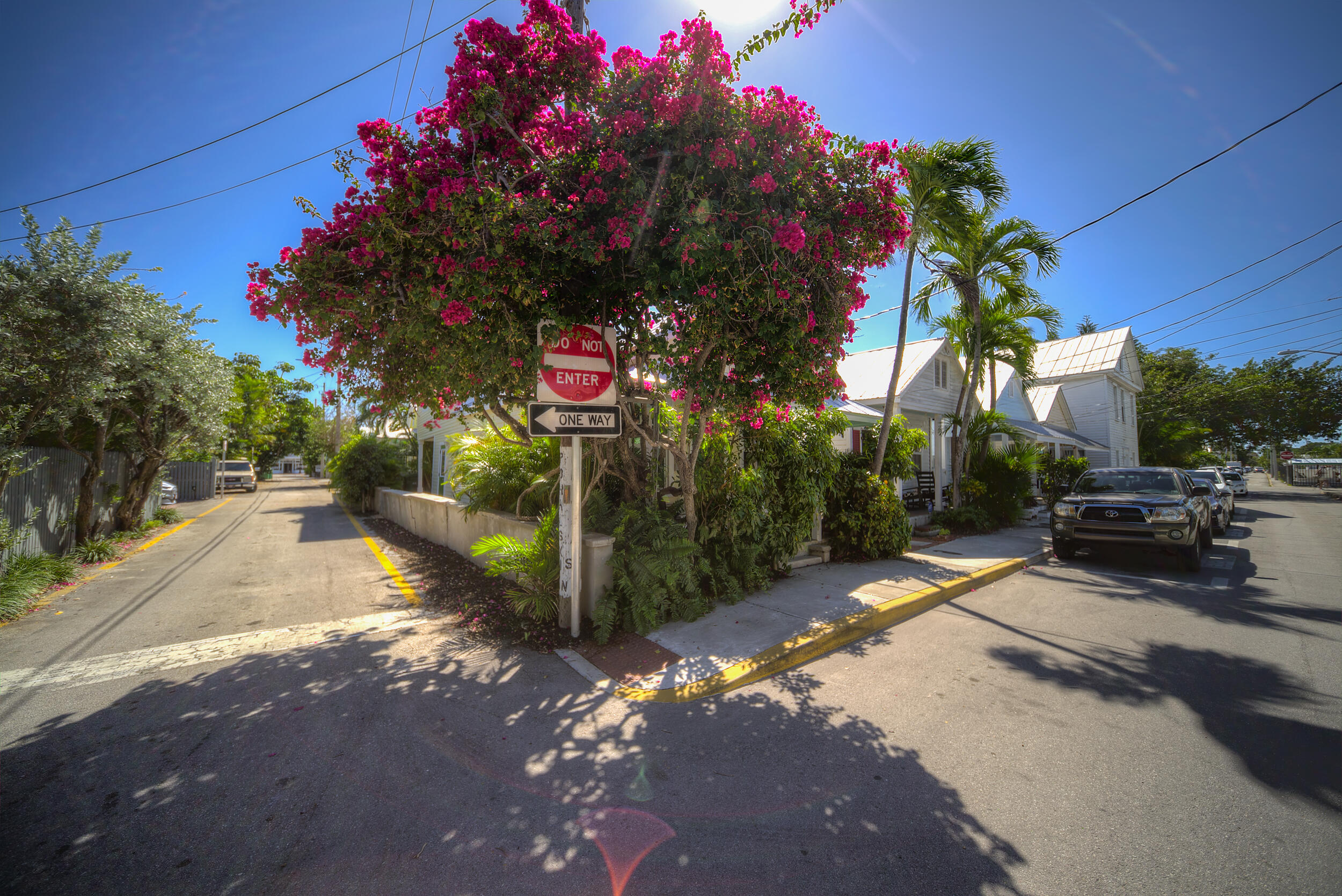 1114 Olivia Street