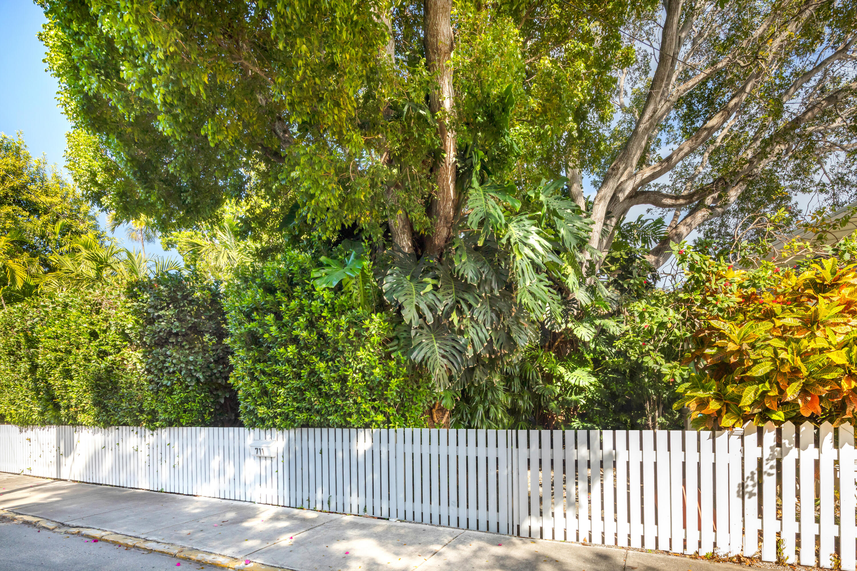 711 Ashe Street