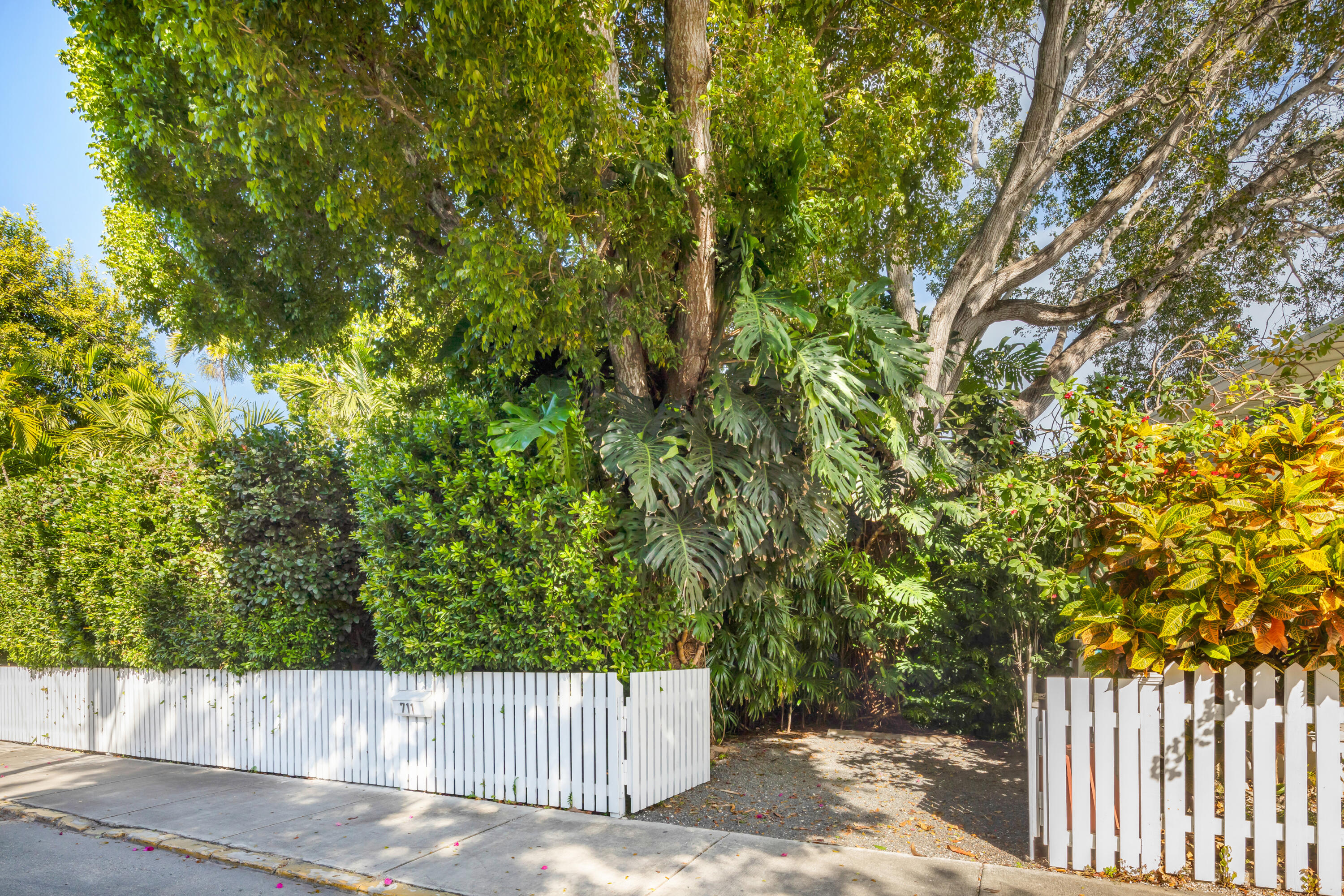 711 Ashe Street