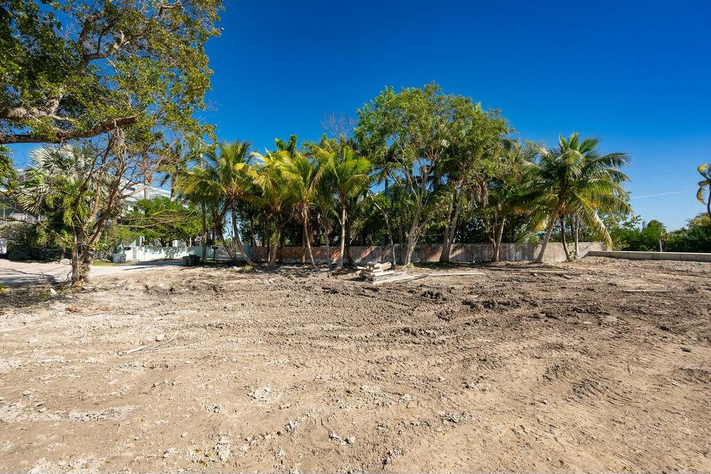 17230 Angelfish Lane
