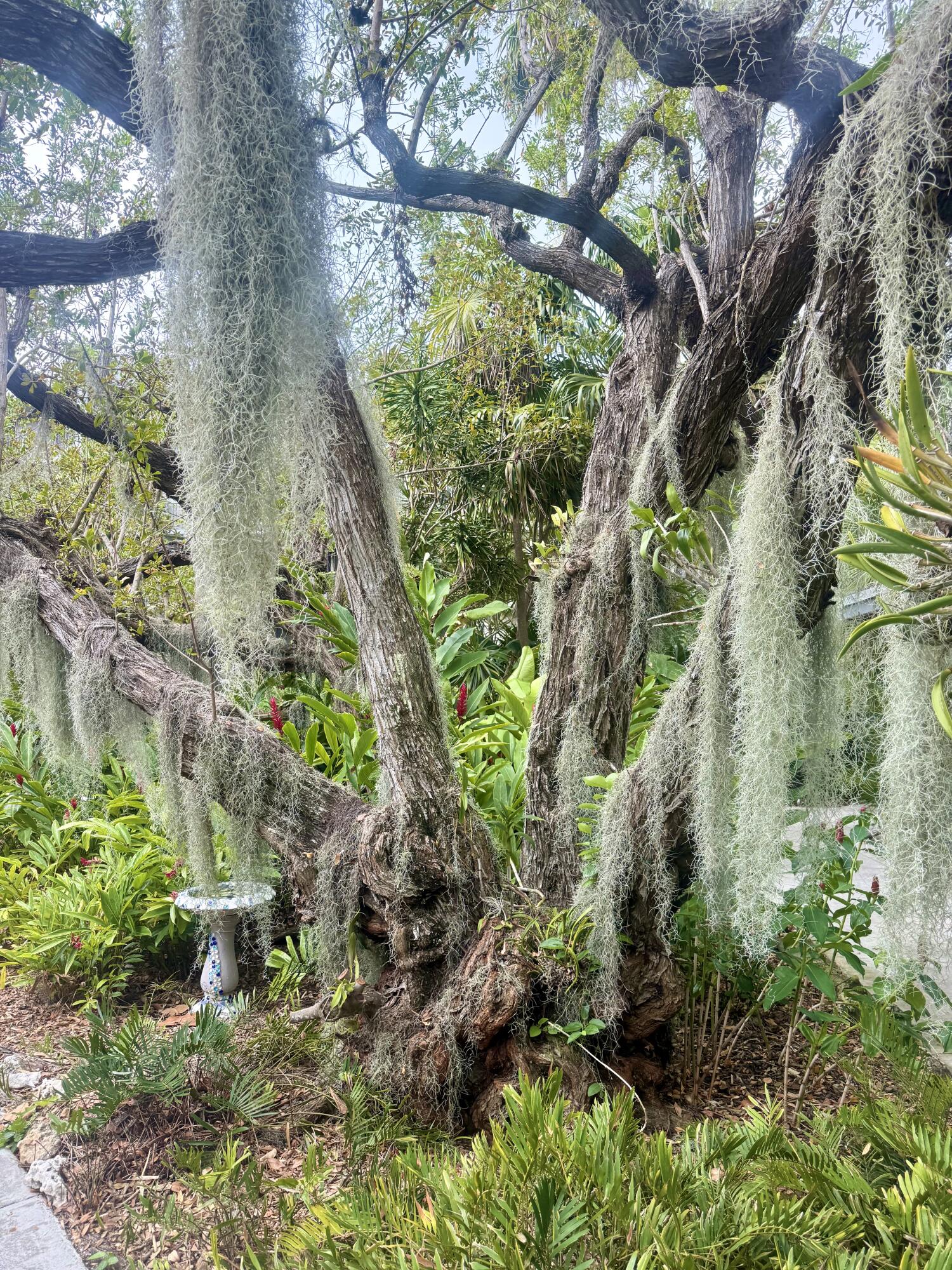 1800 Atlantic Boulevard Unit: 220C