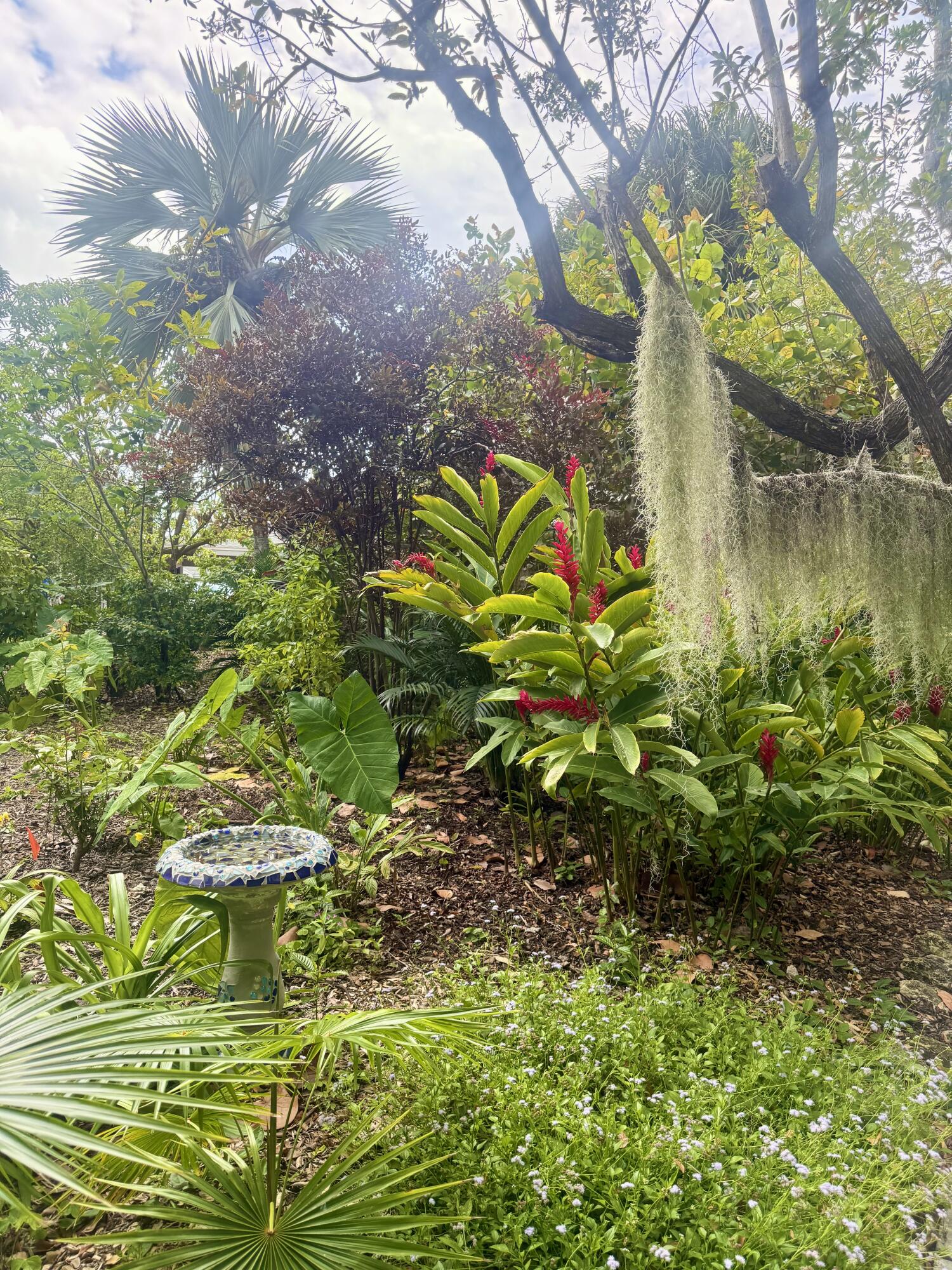 1800 Atlantic Boulevard Unit: 220C