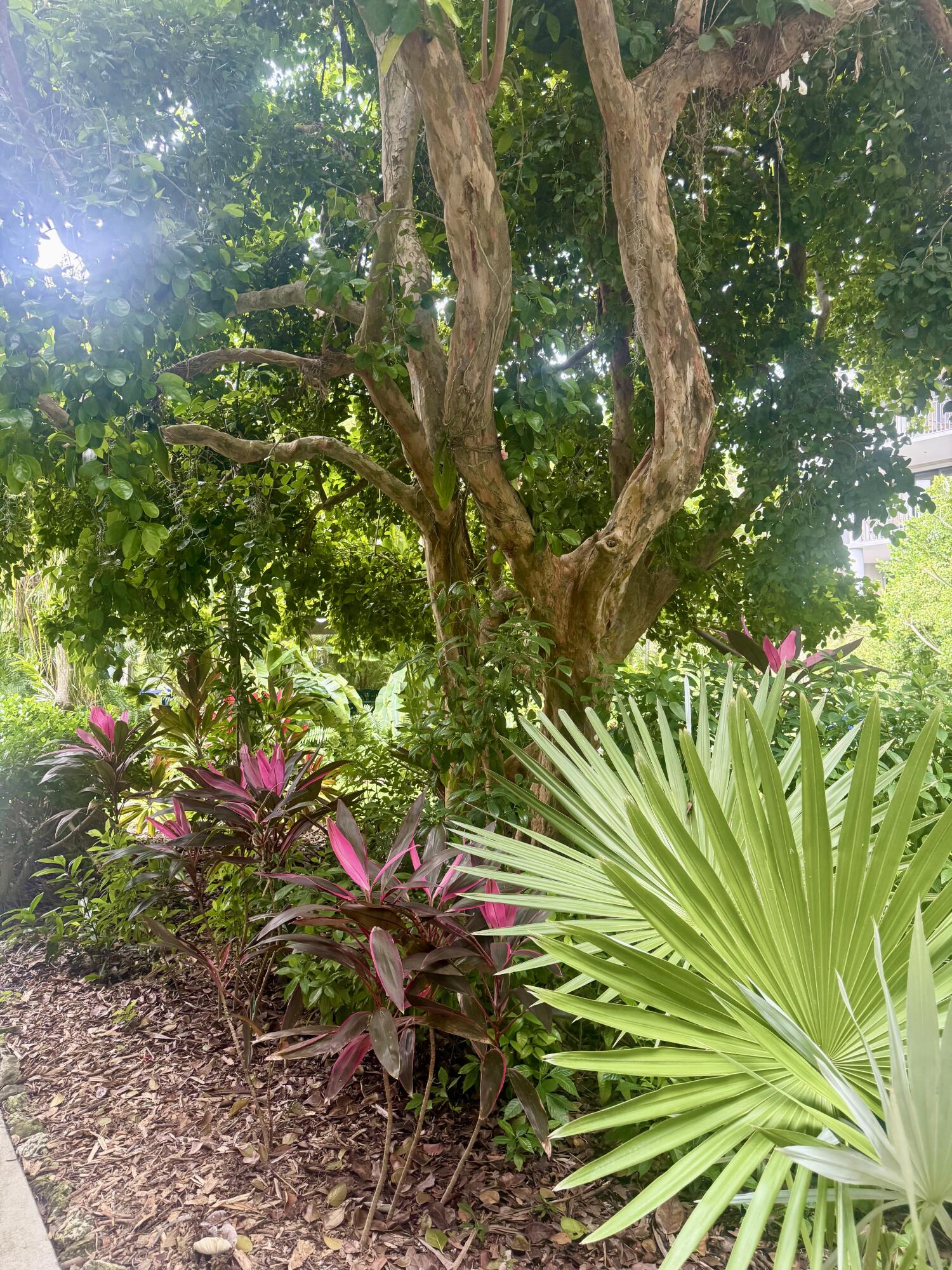 1800 Atlantic Boulevard Unit: 220C