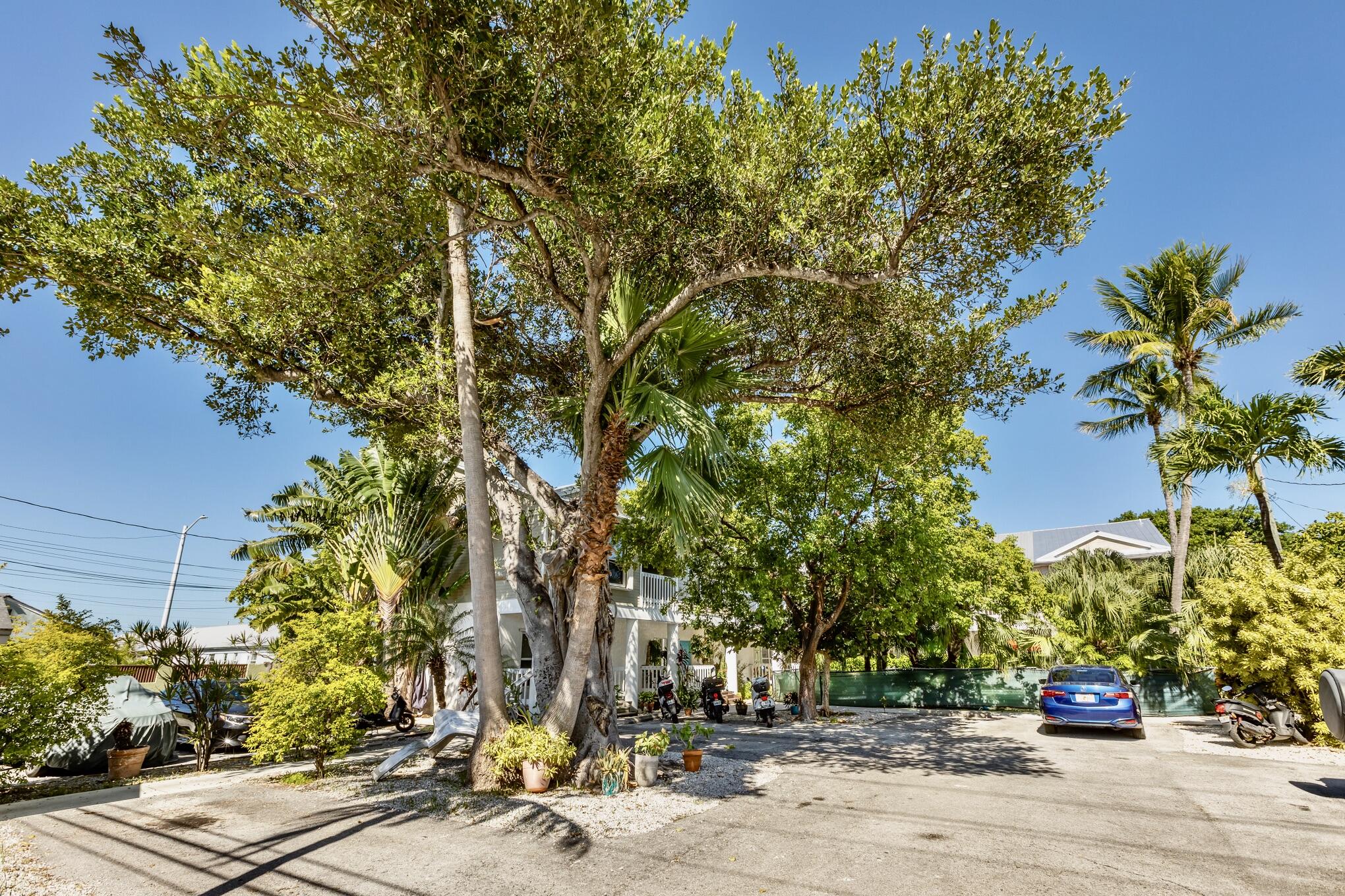 3255 Duck Avenue Unit: 3