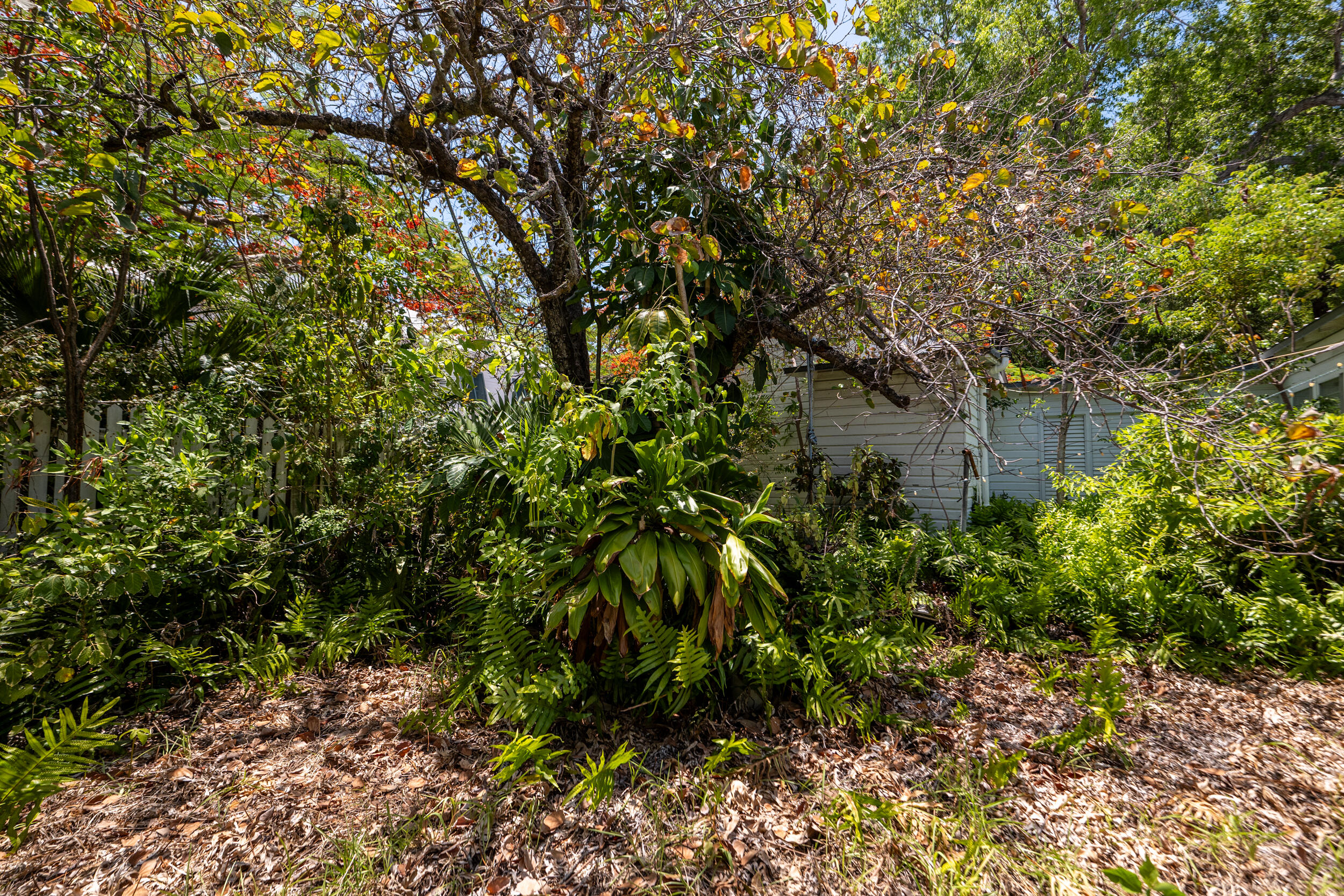 314 Southard Street