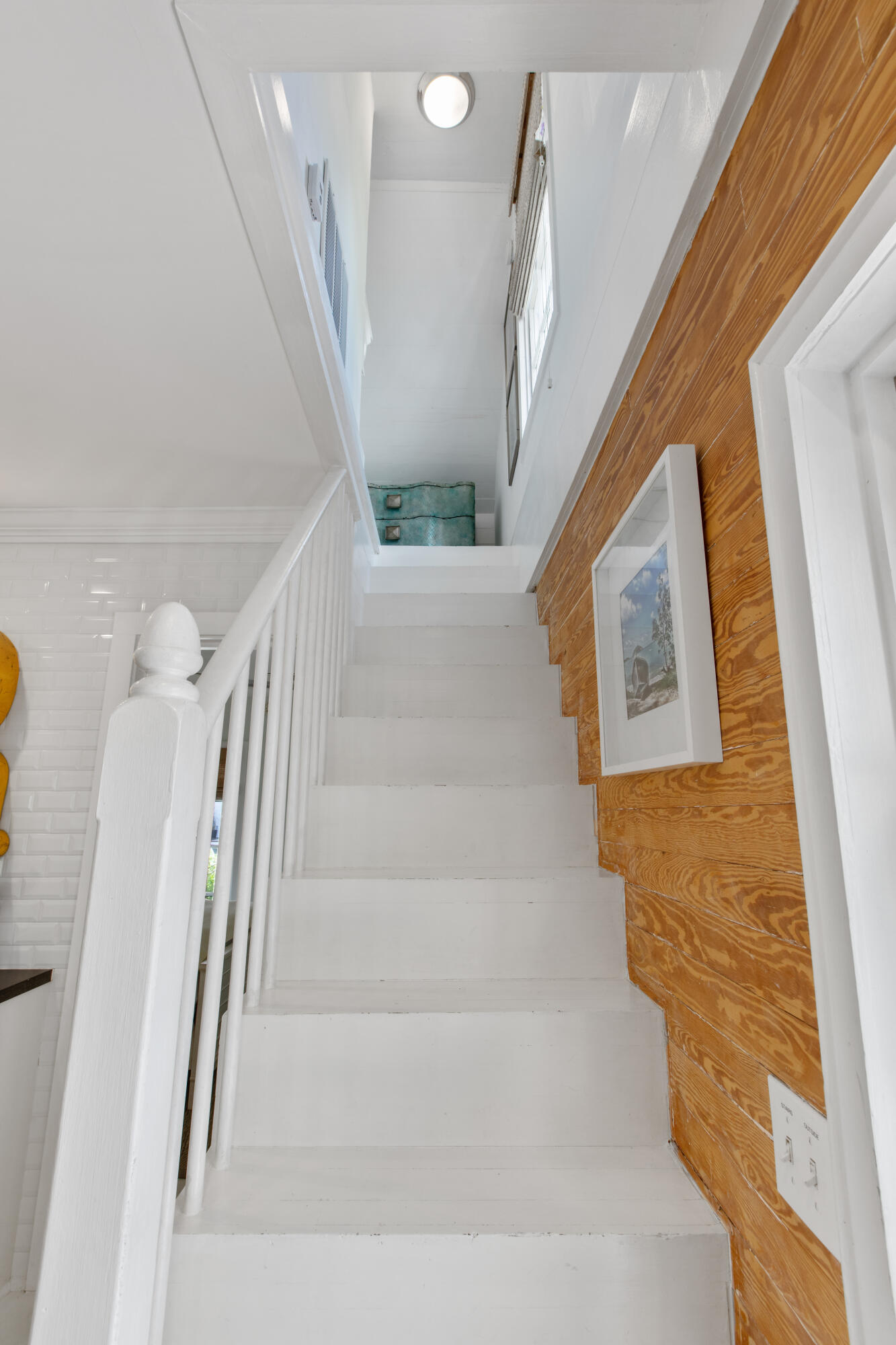 703 Elizabeth Street