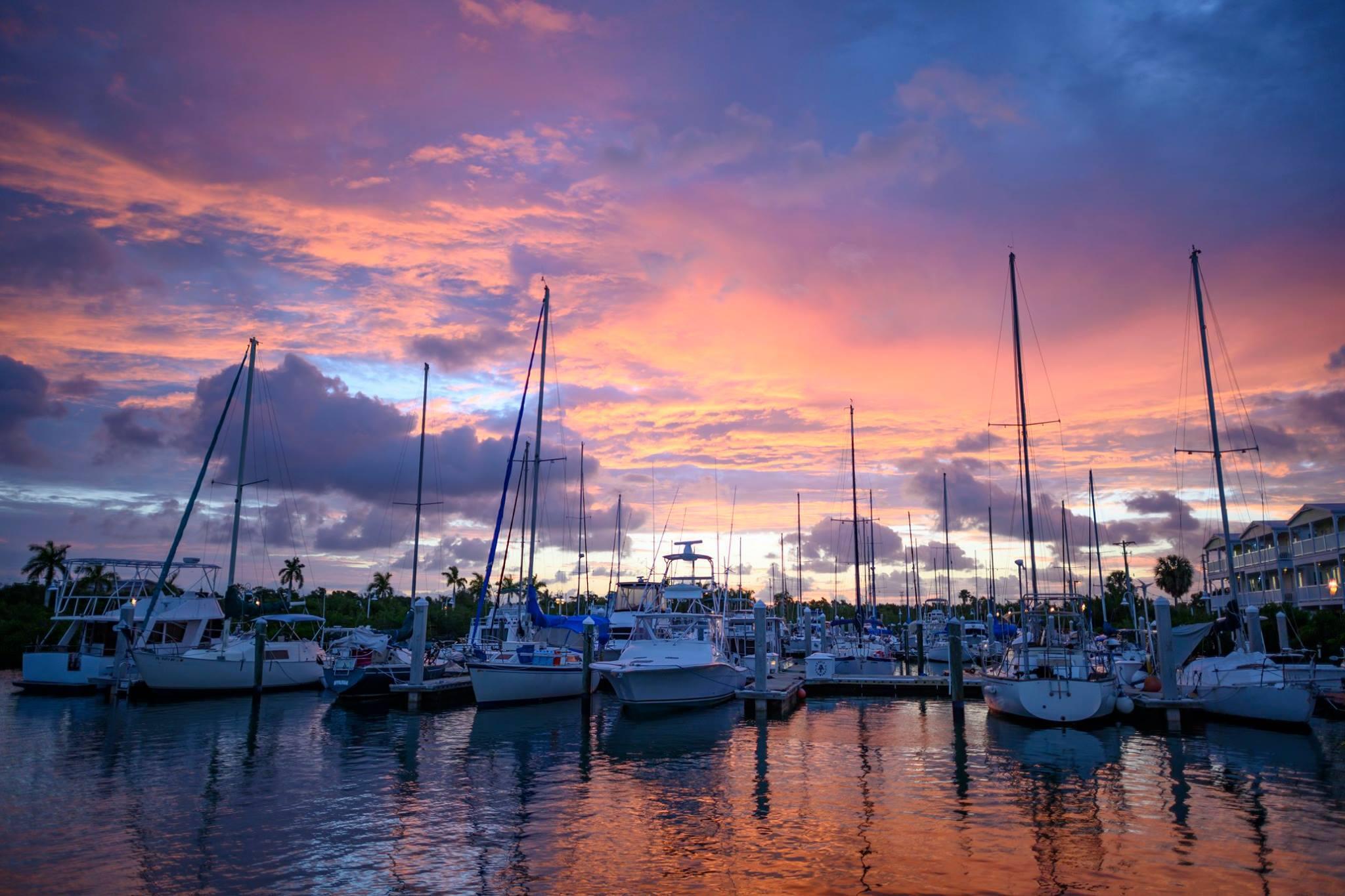 5555 College Road Unit: Starfish 6