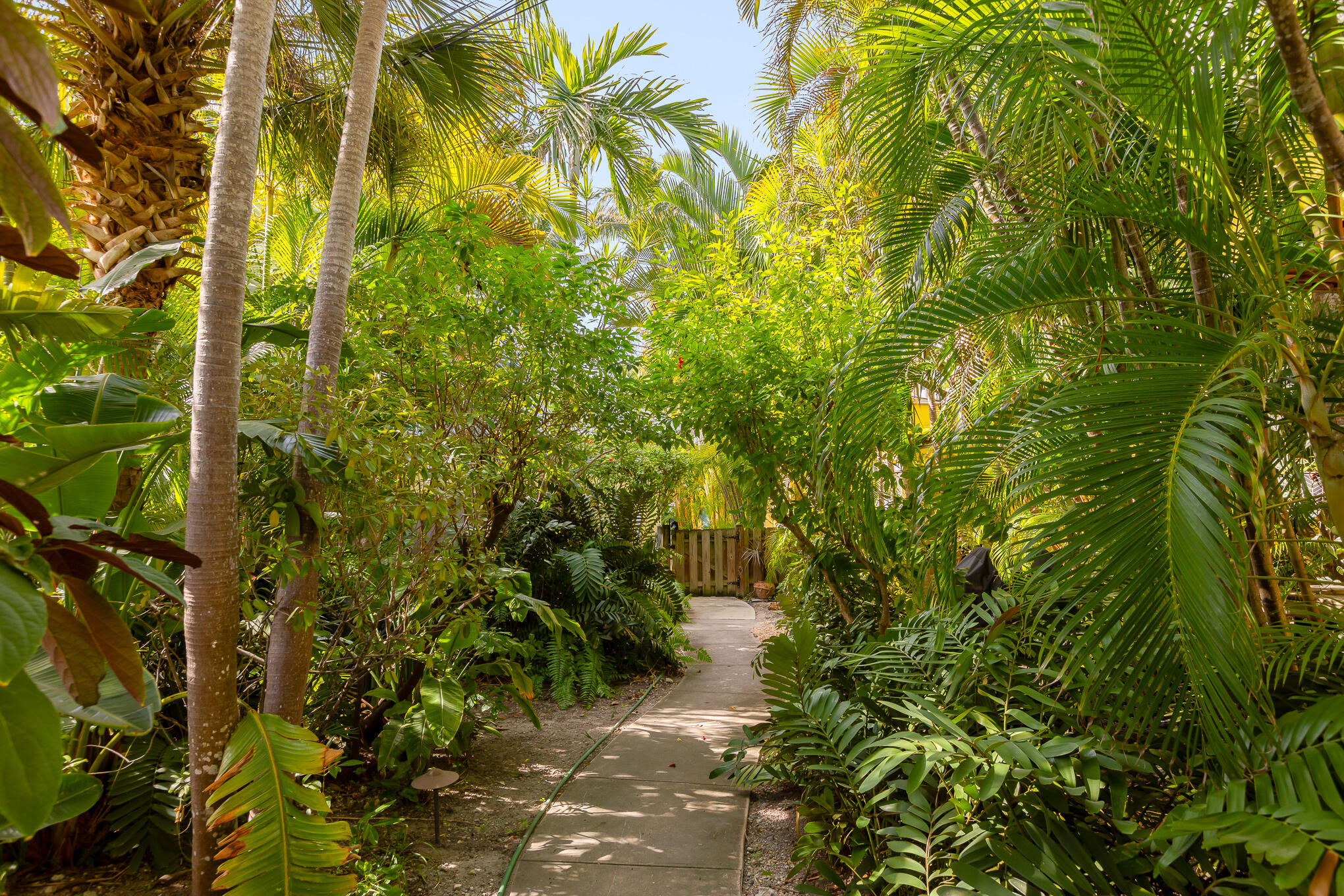 816 South Street Unit: 4