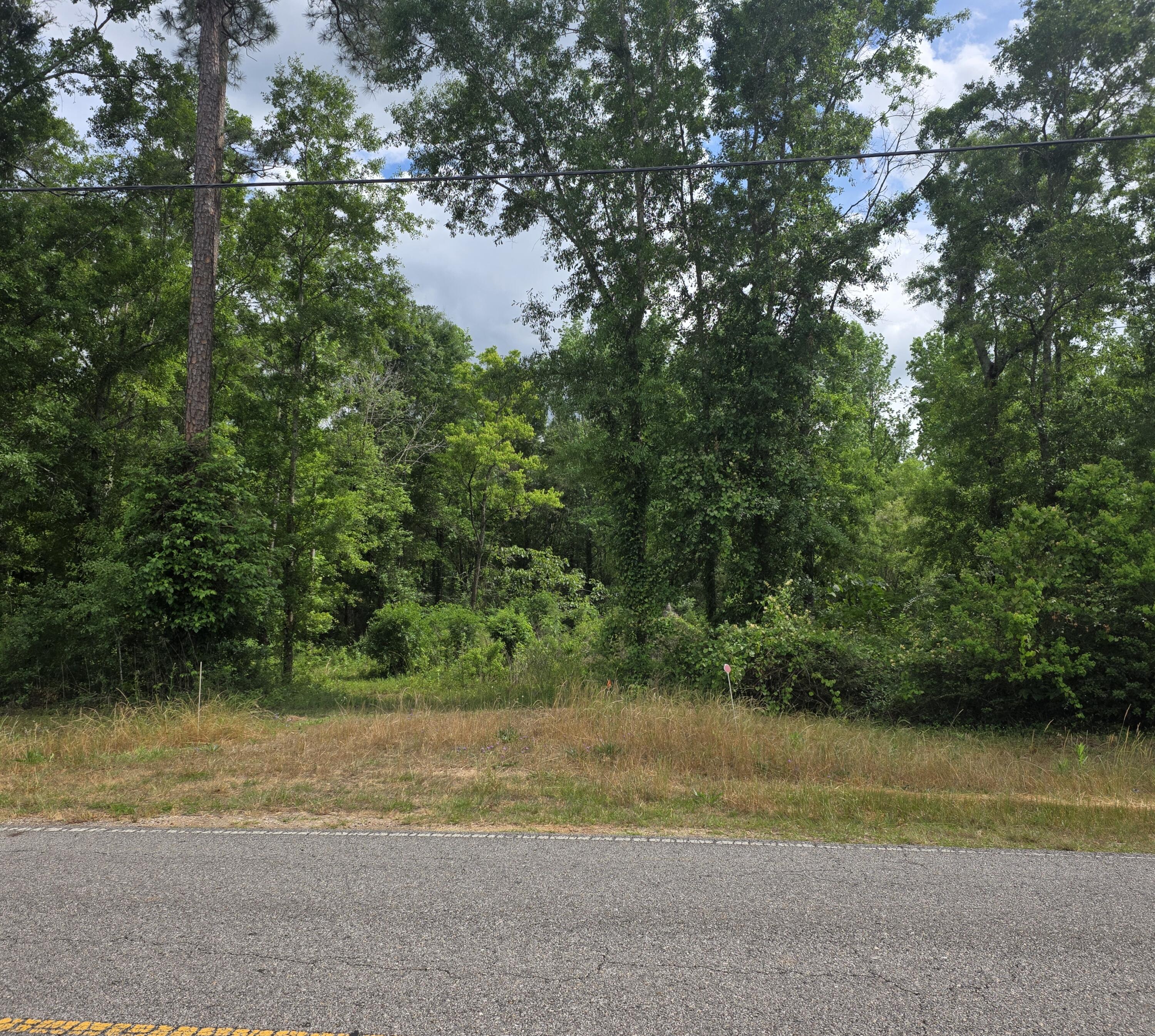 2000 Molino Road