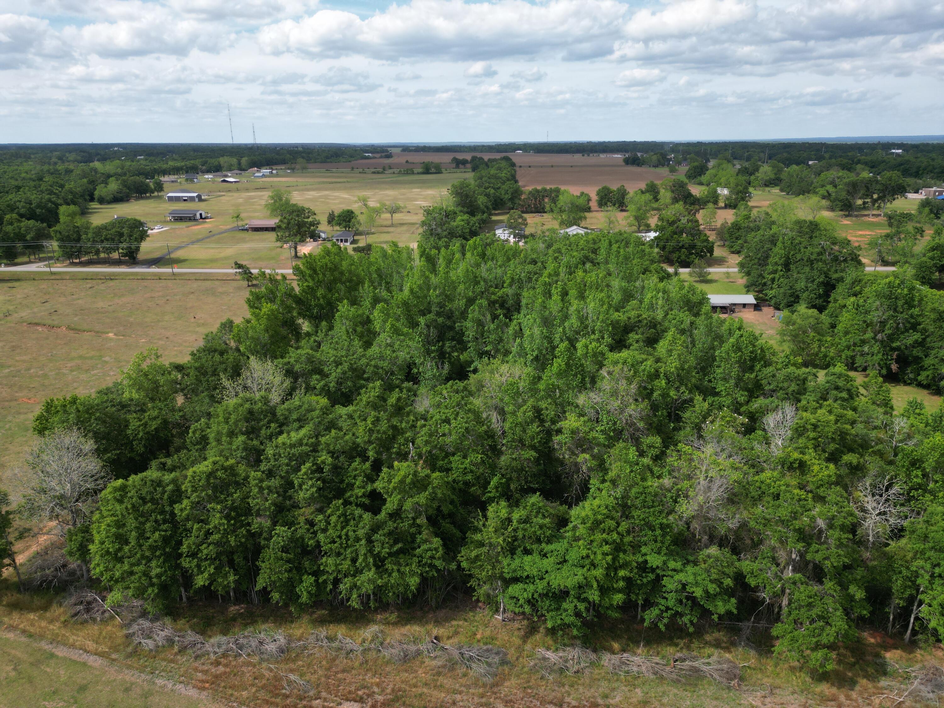 2000 Molino Road