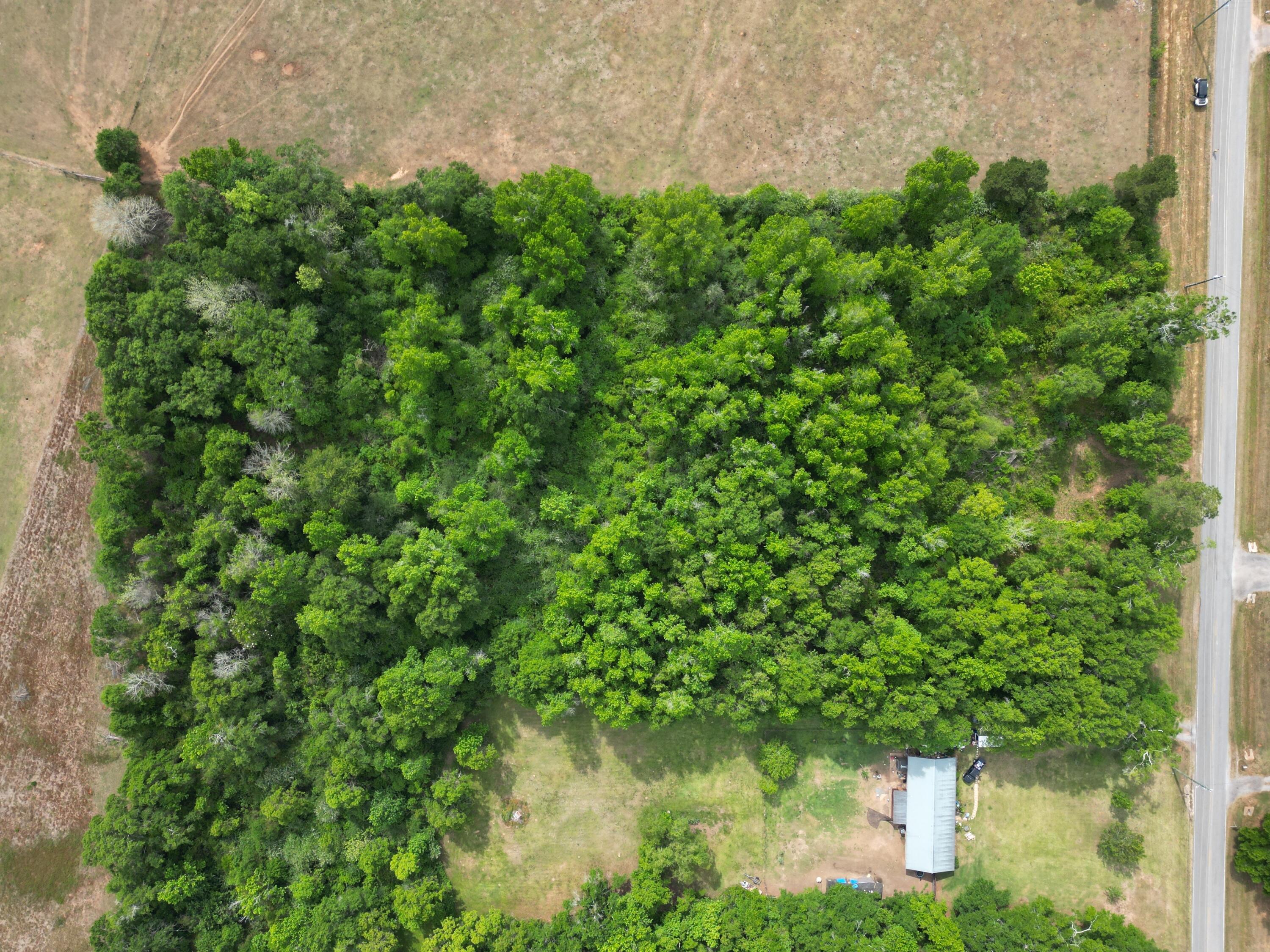 2000 Molino Road