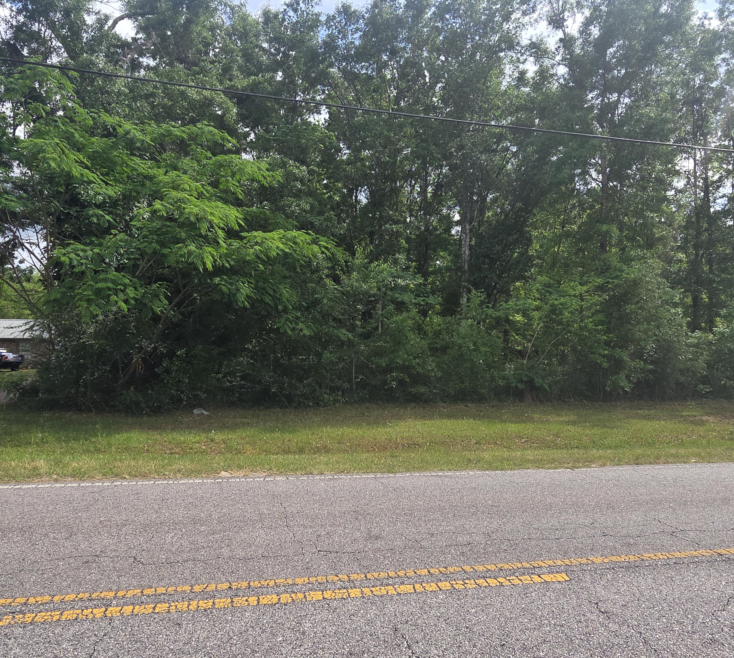 2000 Molino Road