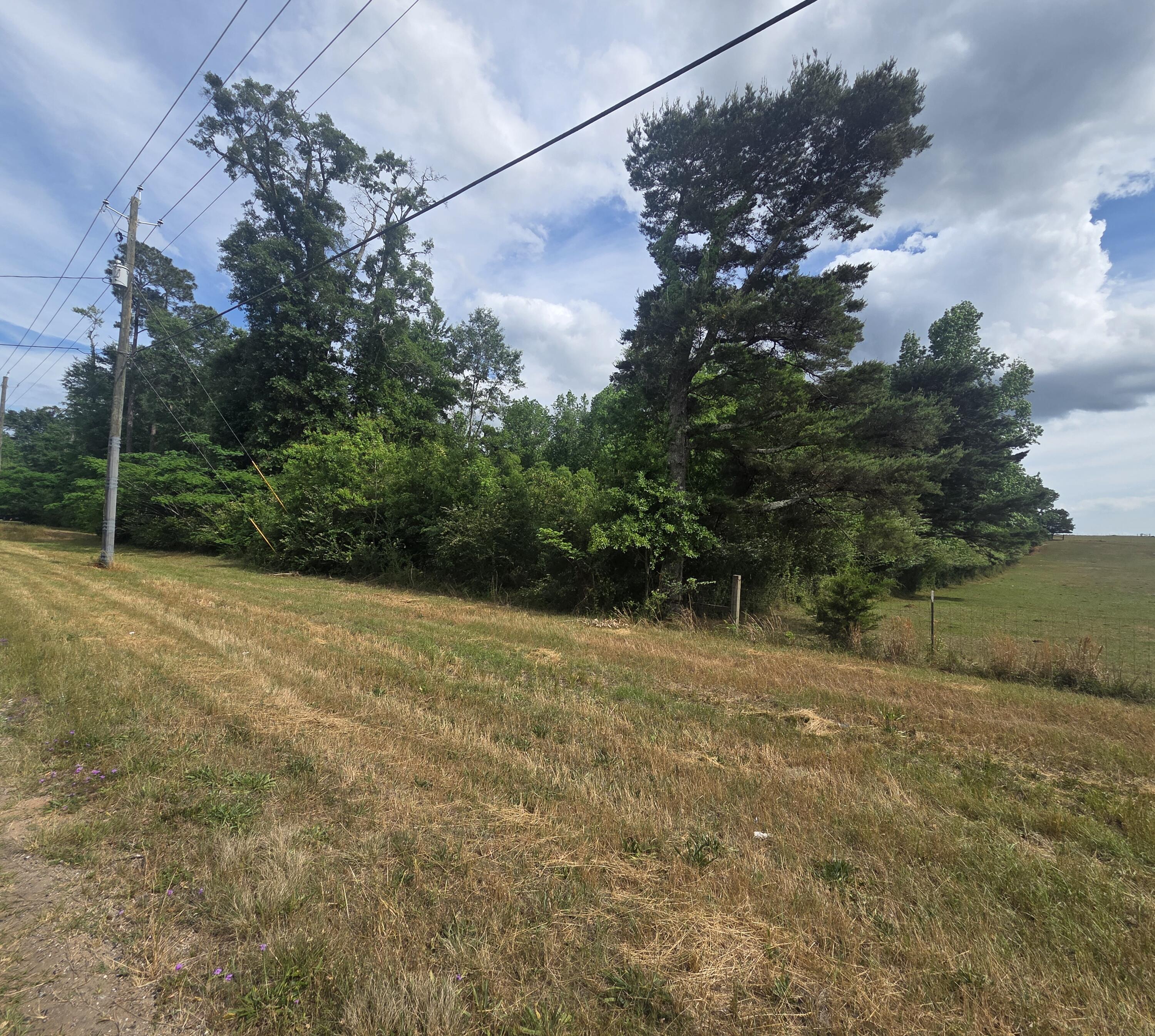 2000 Molino Road