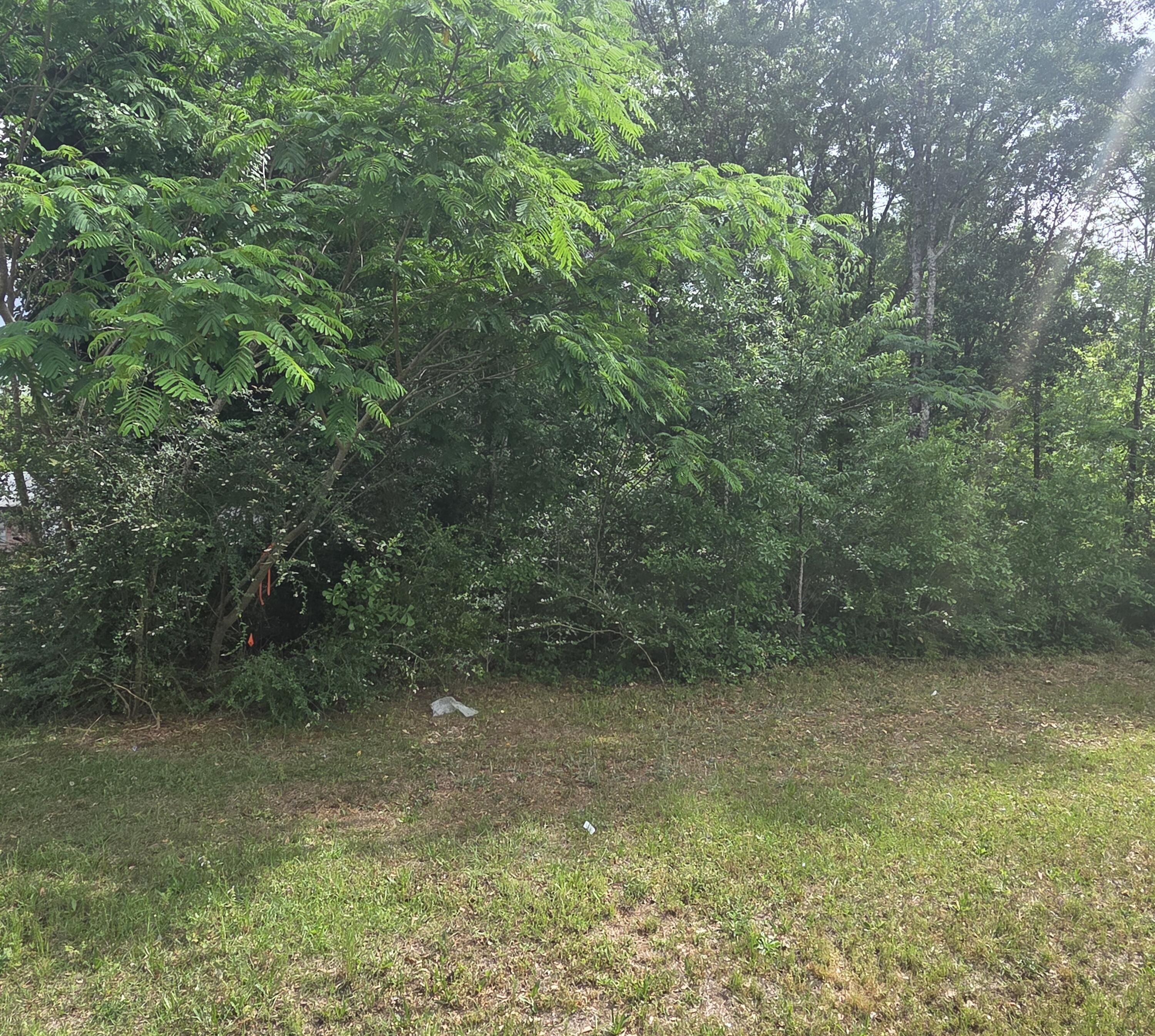 2000 Molino Road