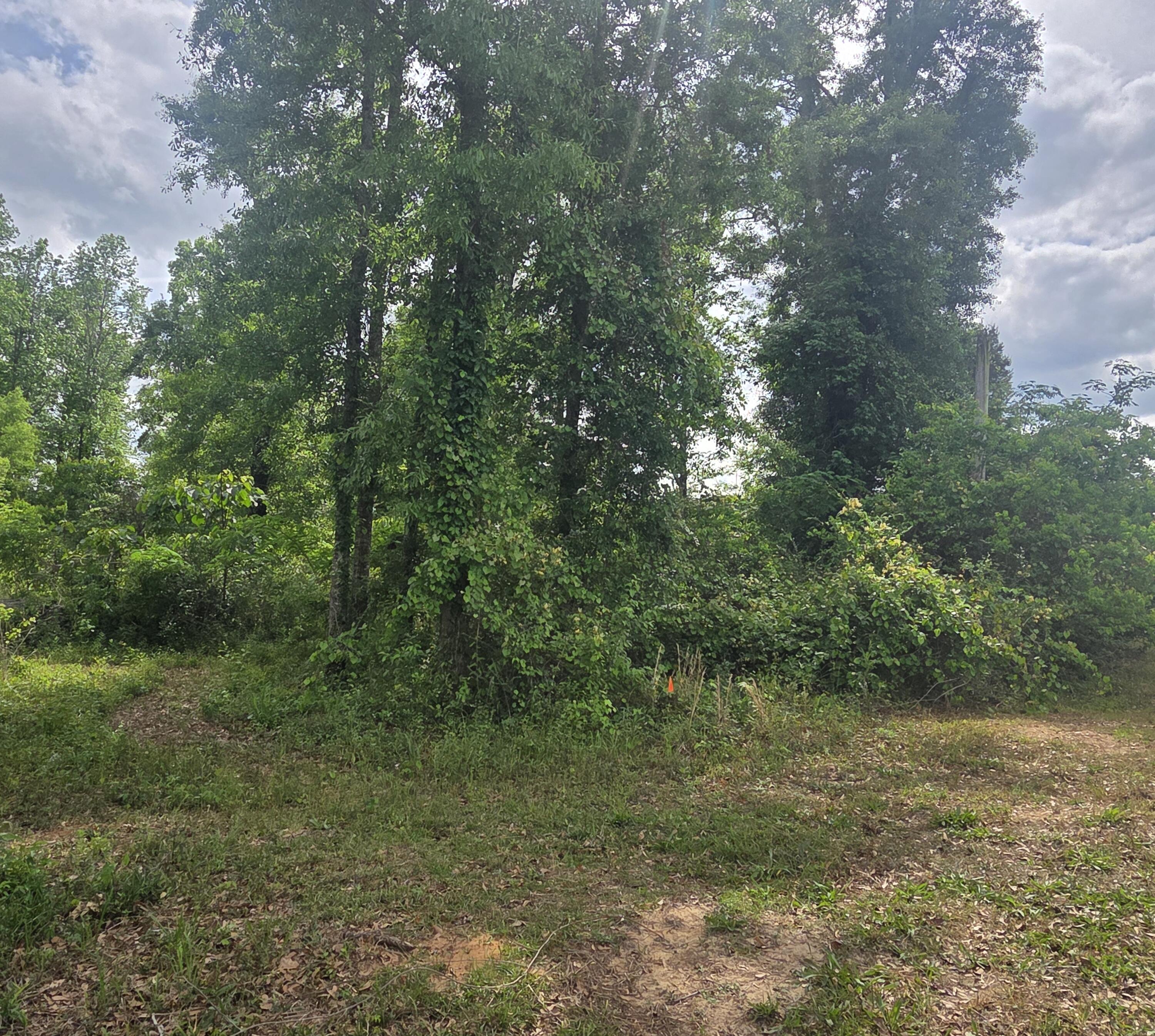 2000 Molino Road