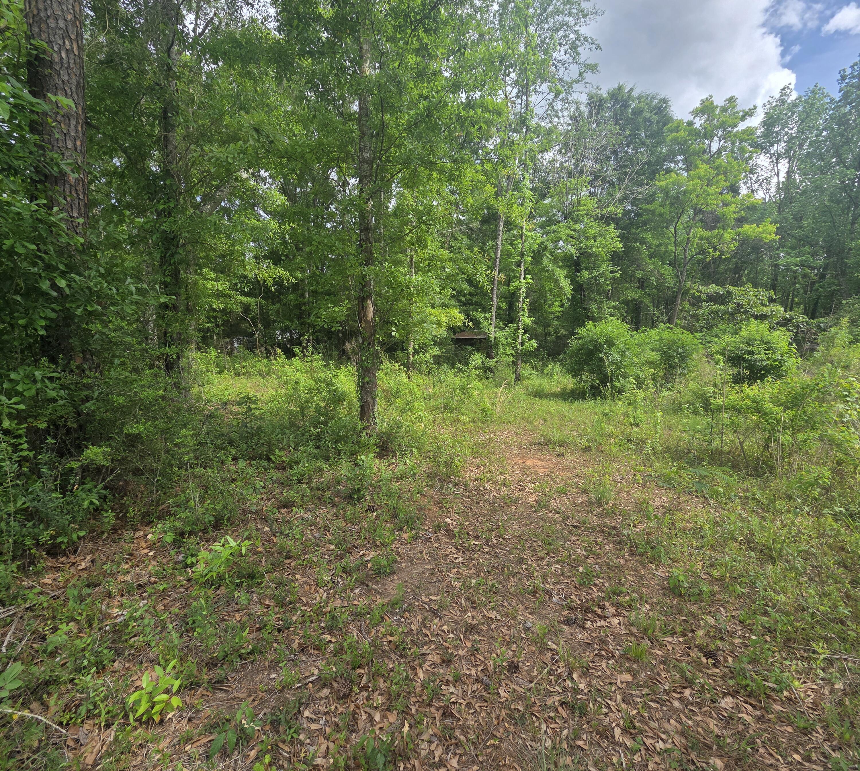 2000 Molino Road