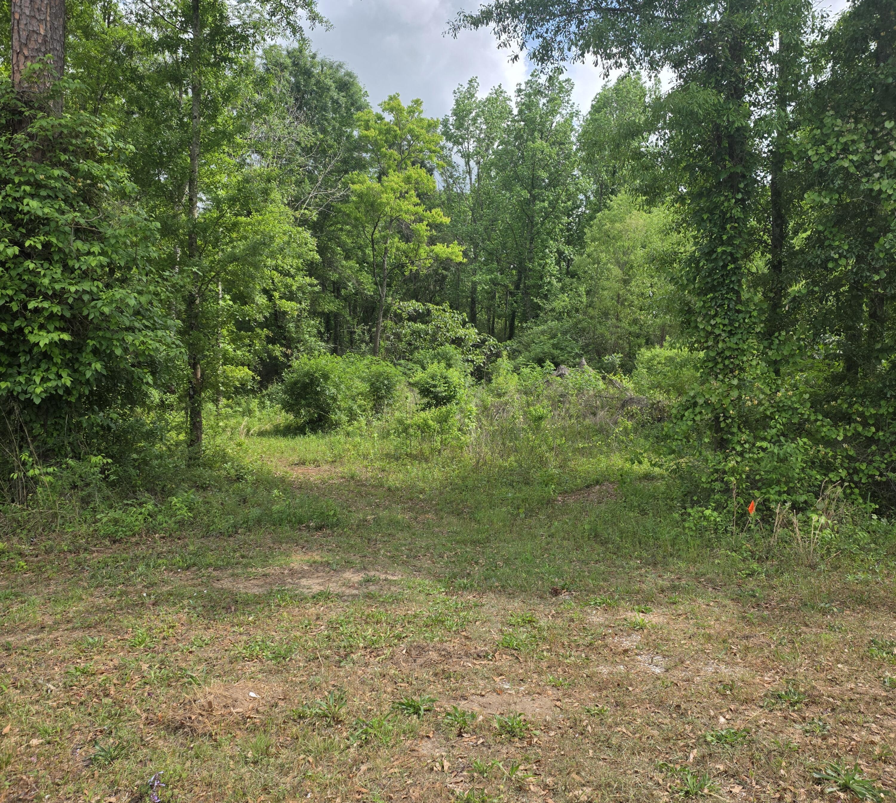 2000 Molino Road