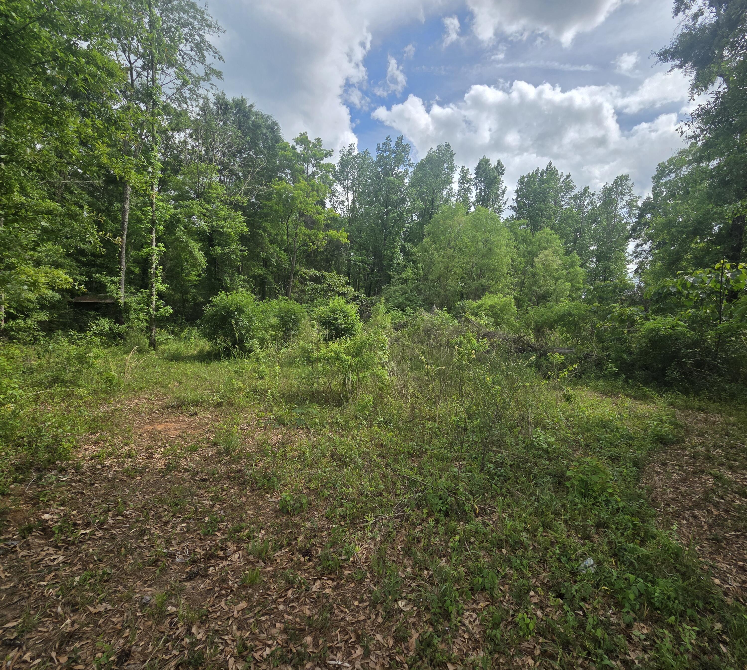 2000 Molino Road