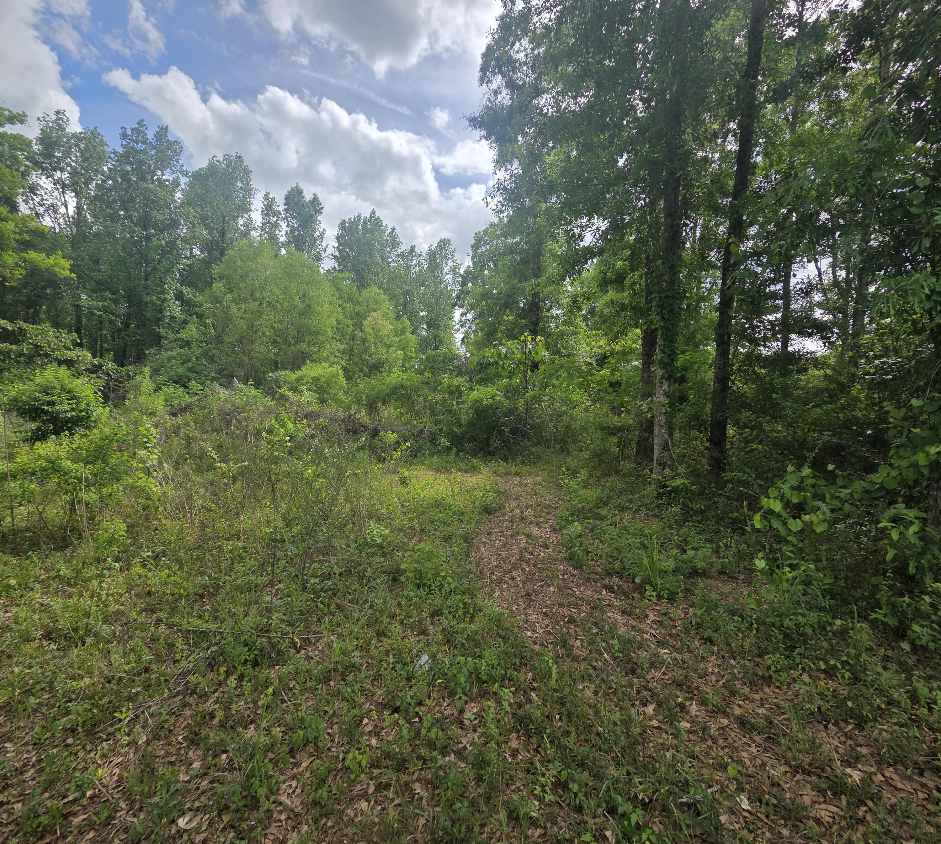 2000 Molino Road