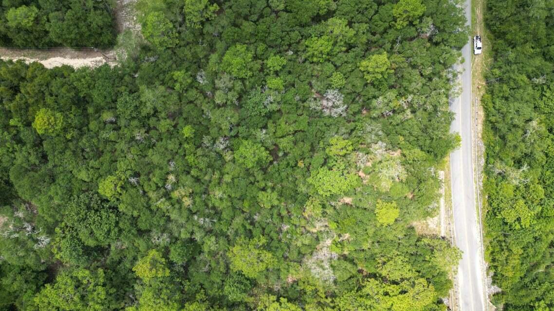 Lot 3 Spring Hill Road, DeFuniak Springs