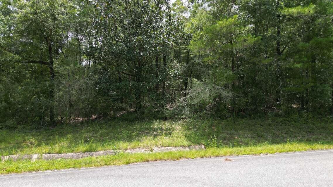 Lot 3 Spring Hill Road, DeFuniak Springs