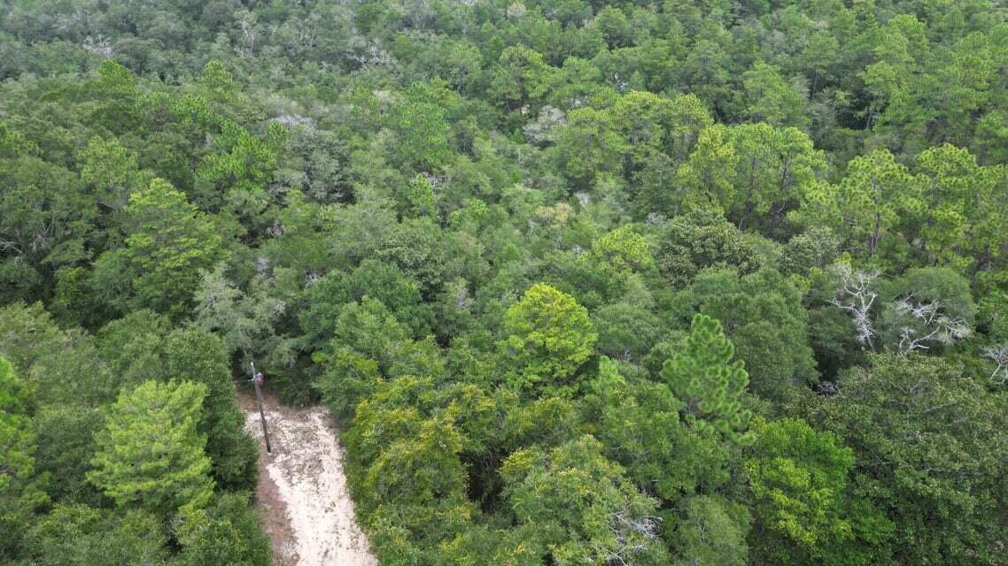 Lot 3 Spring Hill Road, DeFuniak Springs