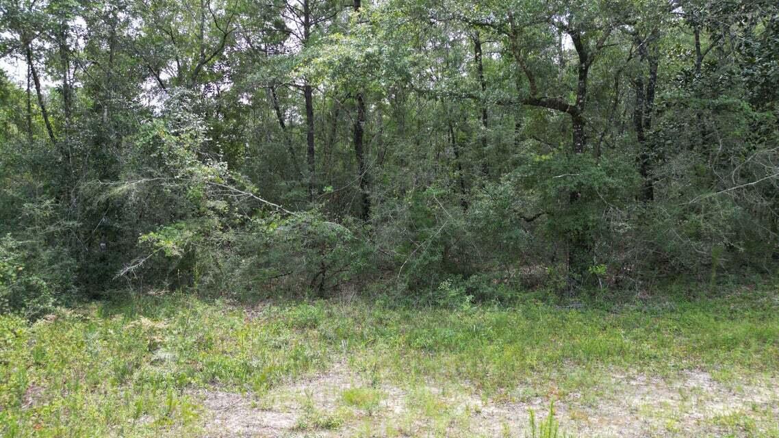 Lot 3 Spring Hill Road, DeFuniak Springs